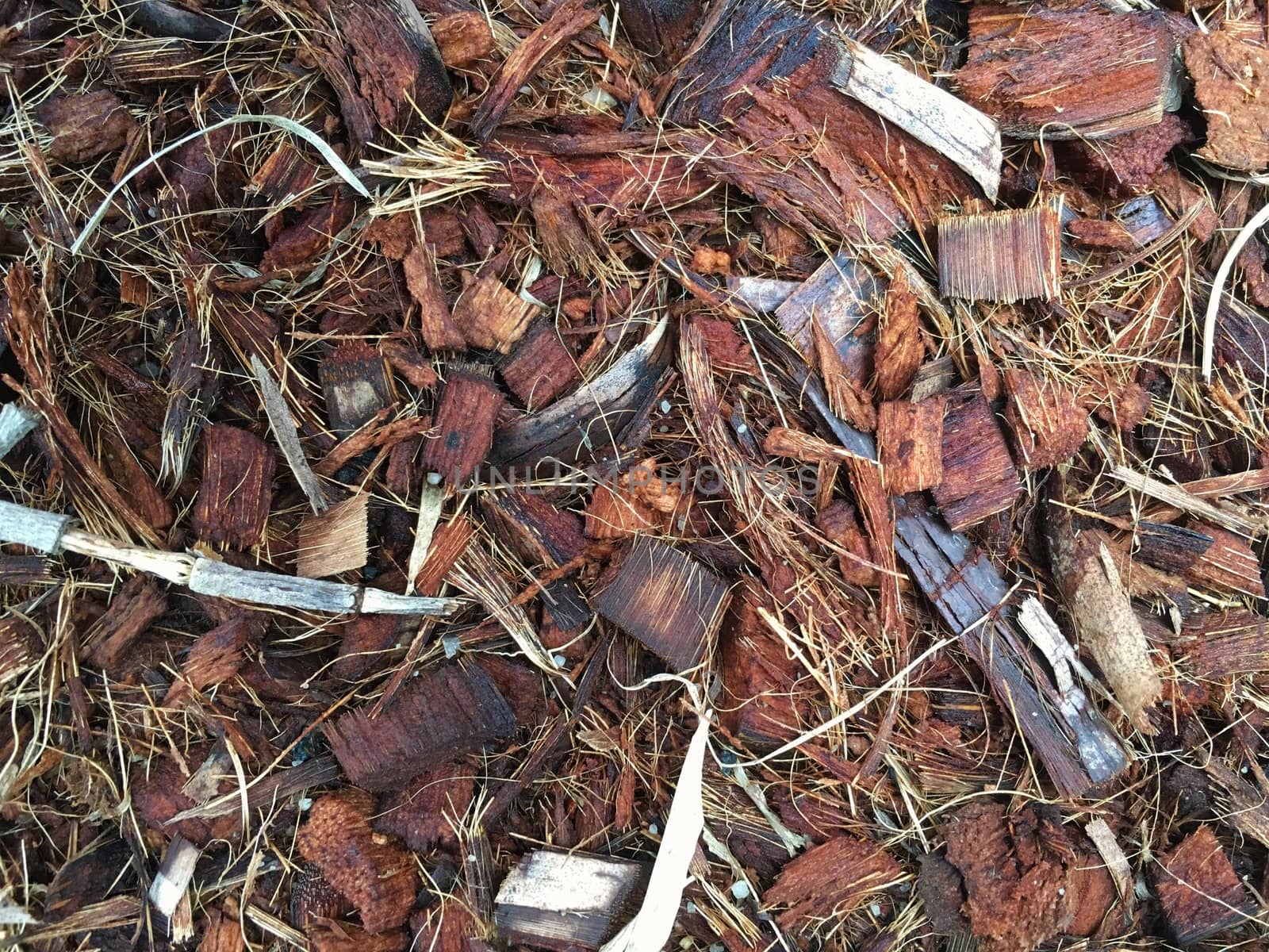 Close up of spathe fiber of coconut. Peels of coconut husk.