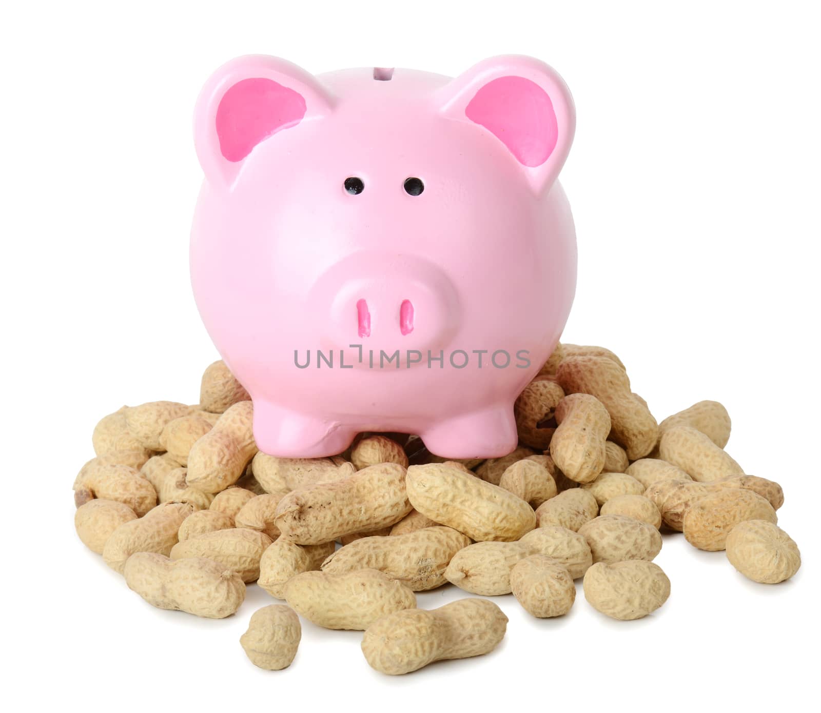 Piggy bank peanuts by hyrons