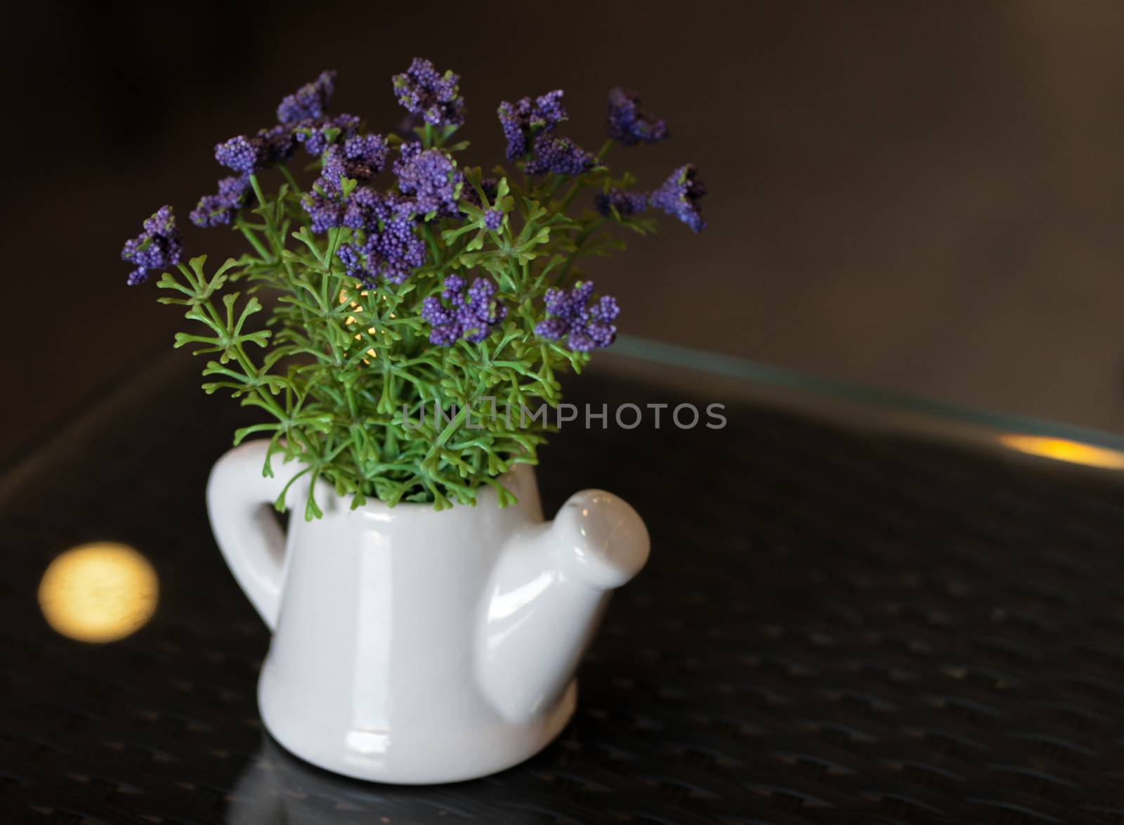 COLOR PHOTO OF SMALL PLANT POTTED IN WATERING POT ON TABLETOP