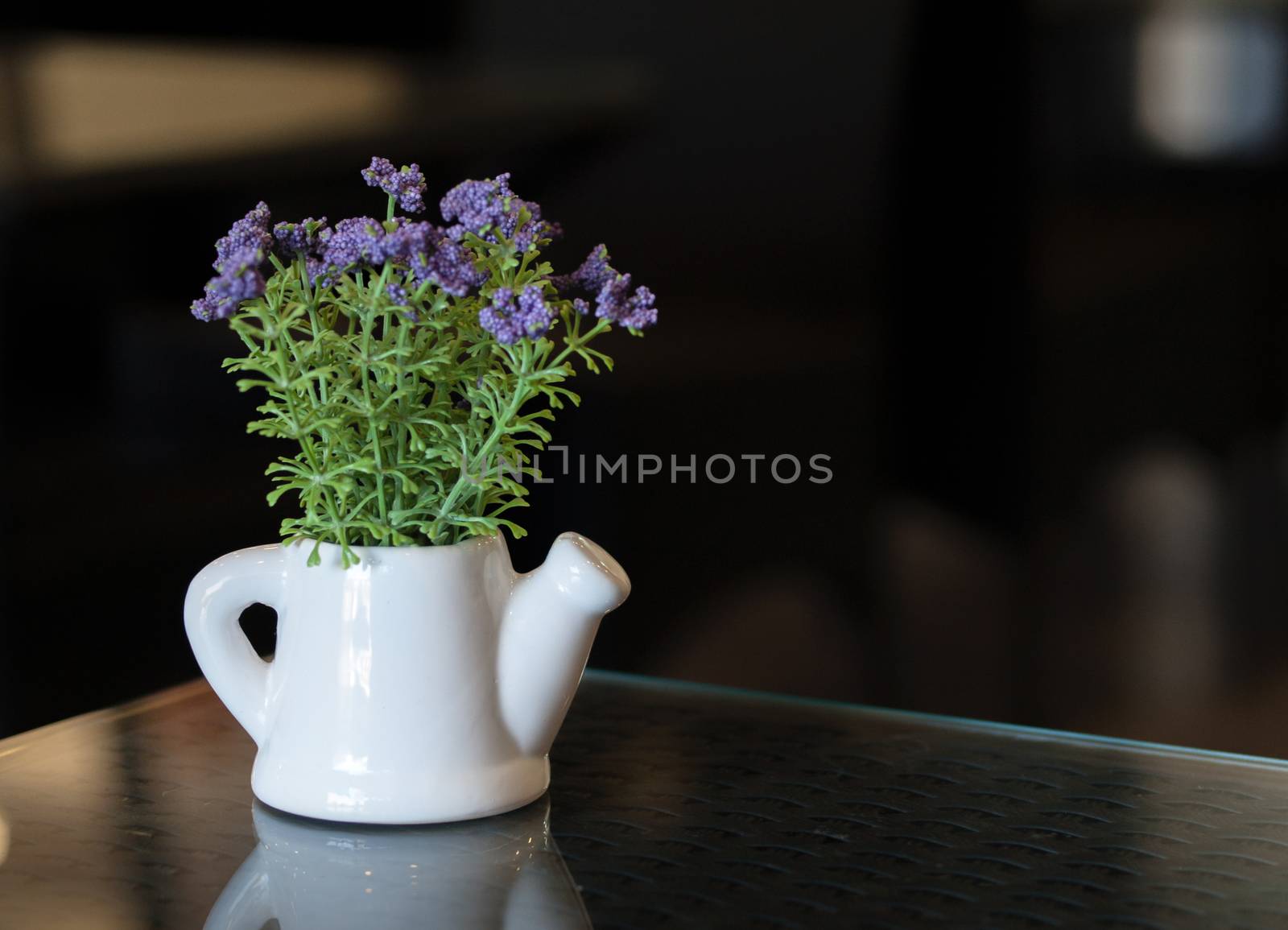COLOR PHOTO OF SMALL PLANT POTTED IN WATERING POT ON TABLETOP