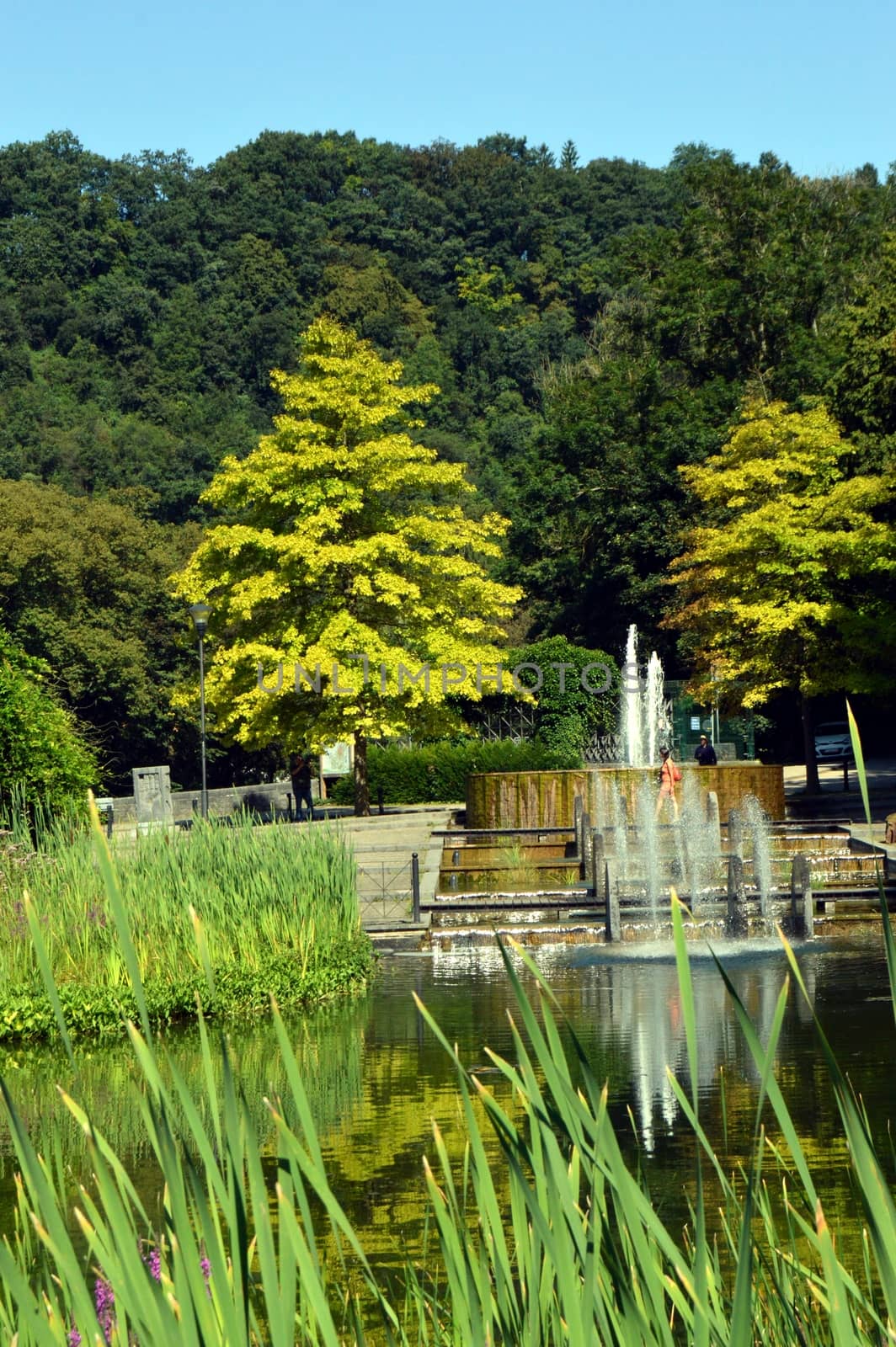 Water jet in a green setting in the heart of the forest inhabitant of the Ardennes.