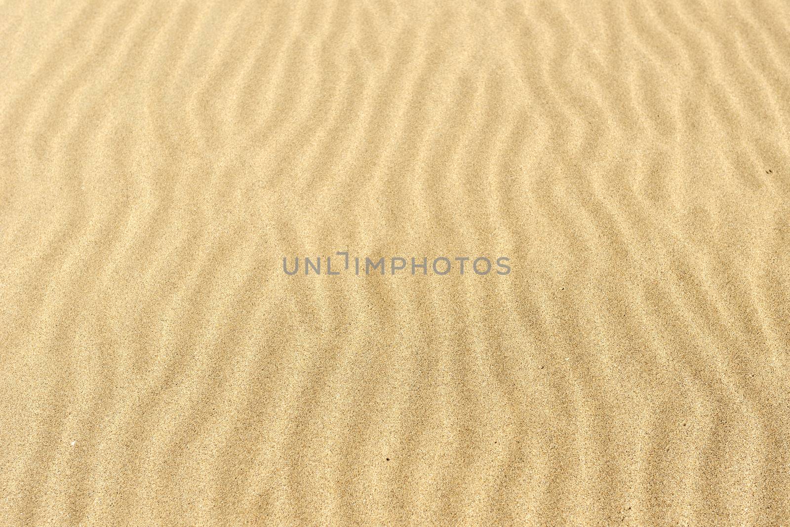 Sand texture Dented wave of the blow of the wind. by hyrons