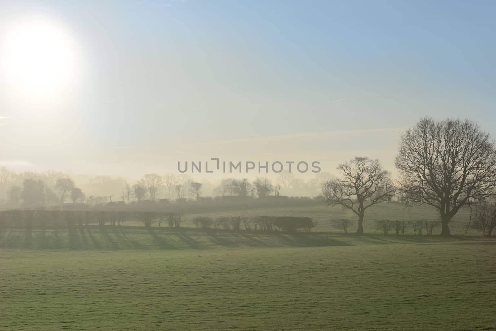 Picturesque winter sunrise over the field