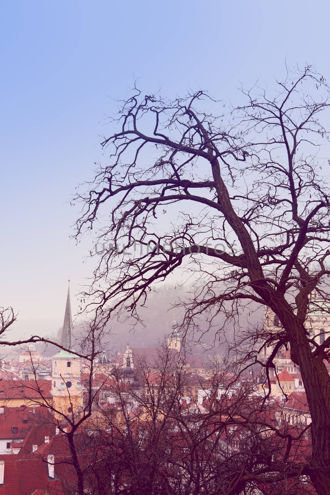 Panorama of Prague, Czech Republic, color toned picture