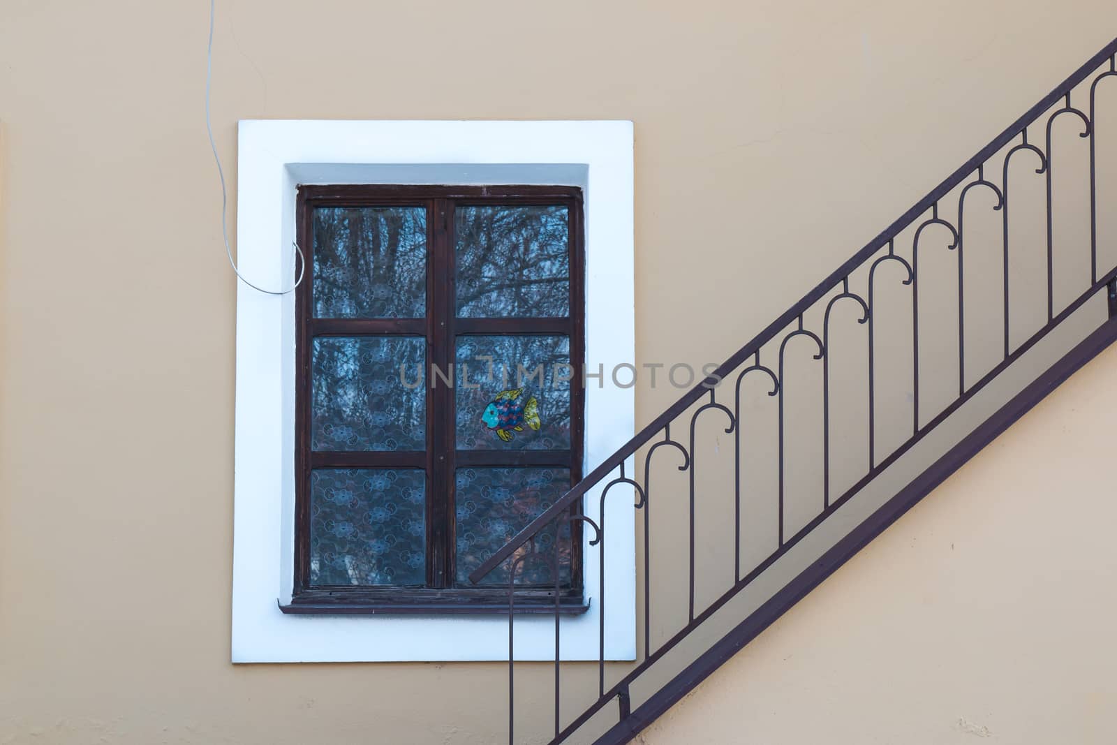 Window with a white frame. Reflection of a tree and blue sky. Fish as a decoration in the window. Diagonal handrail of the staircase.