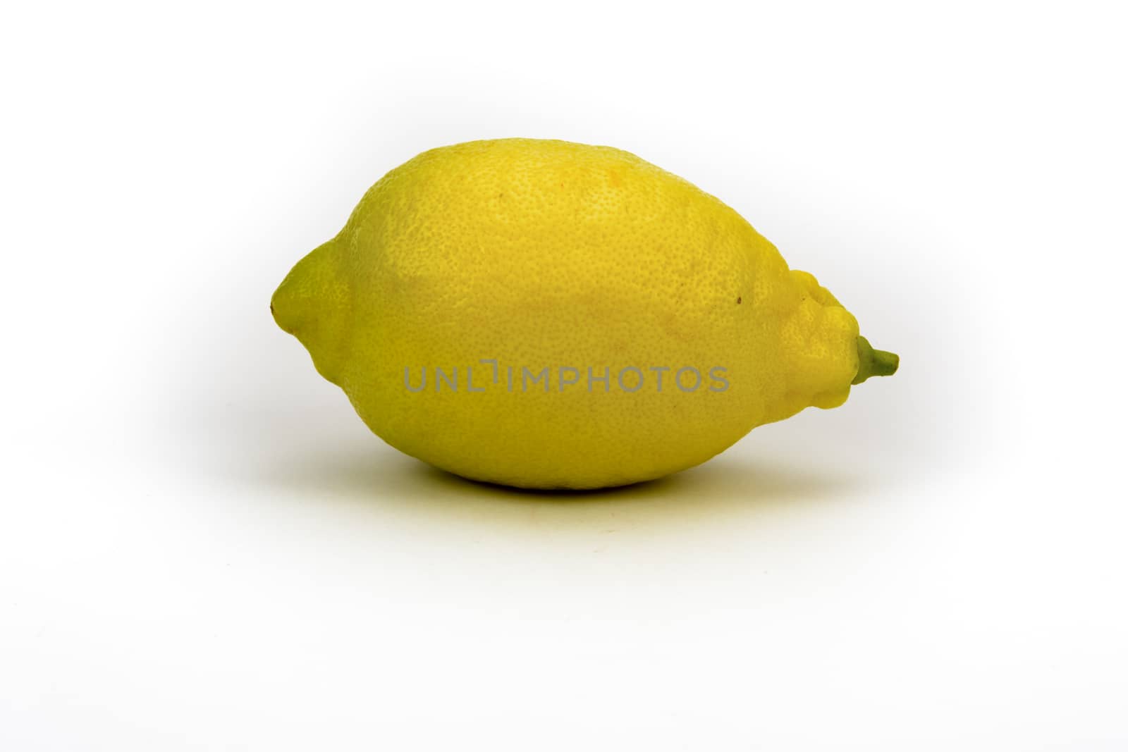 Solitary organic lemon, white background