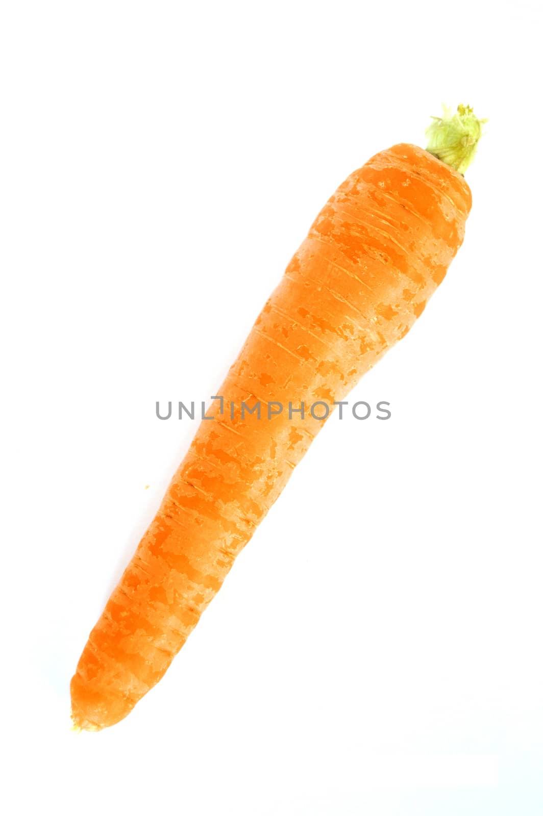 Newest carrot pictures on white ground 2017