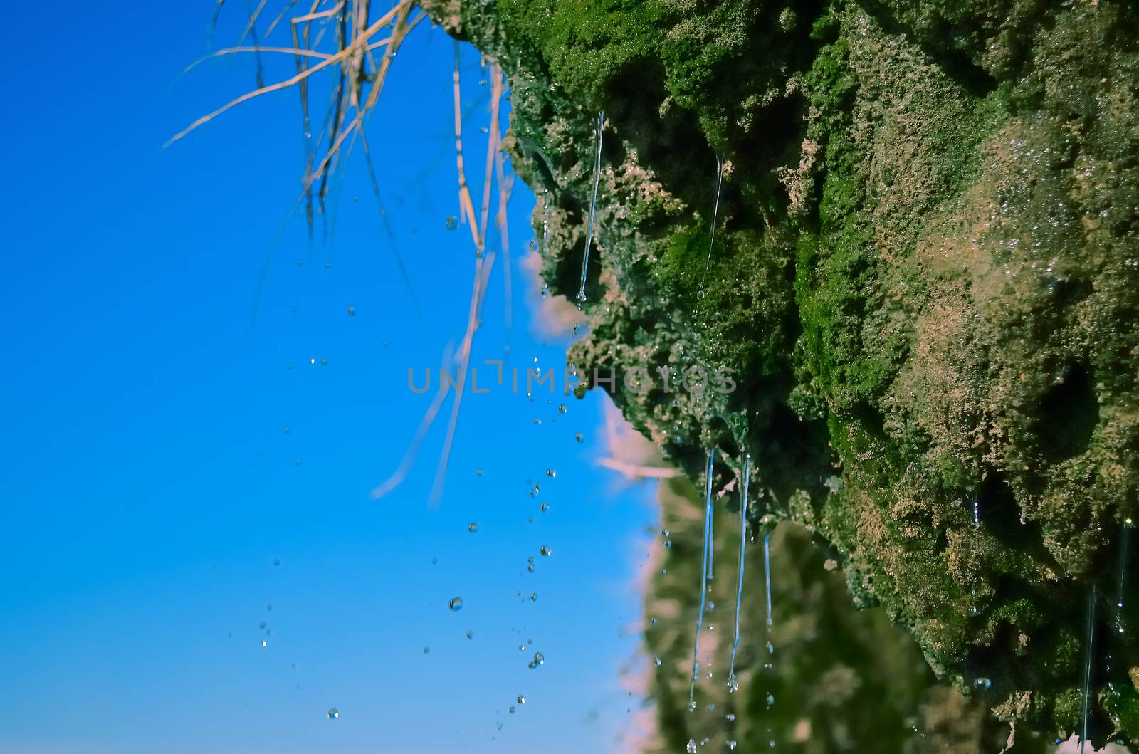 At the sea shore with moss-covered rocks flowing down water