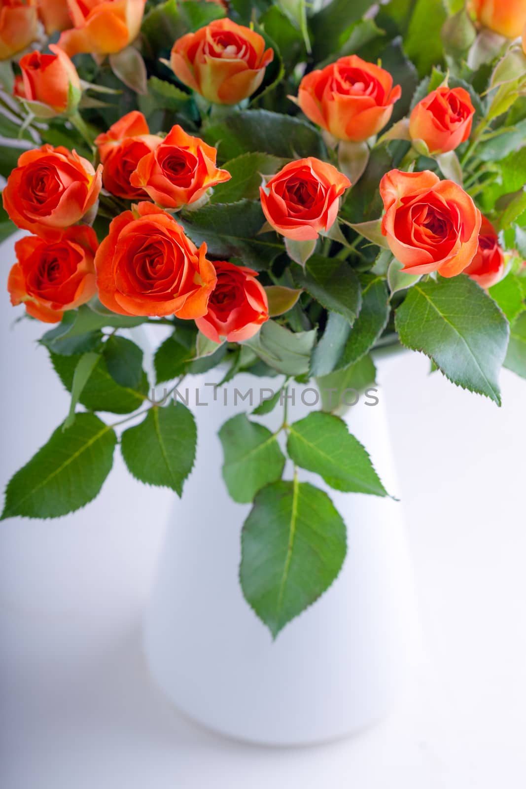 Bouquet of Red Roses on a white background