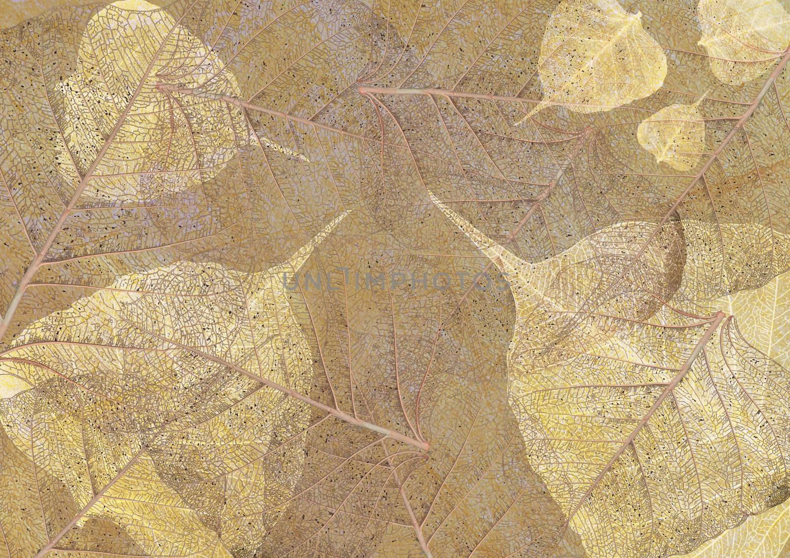 leaves texture