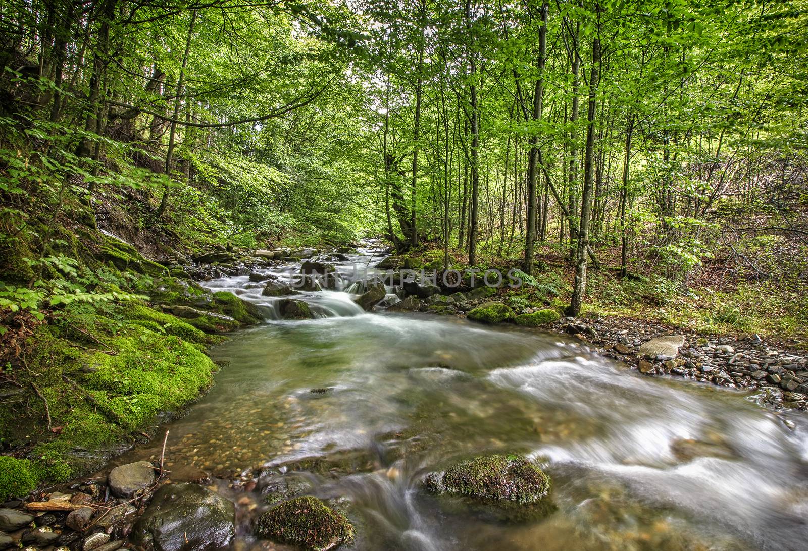 beautiful small river by EdVal