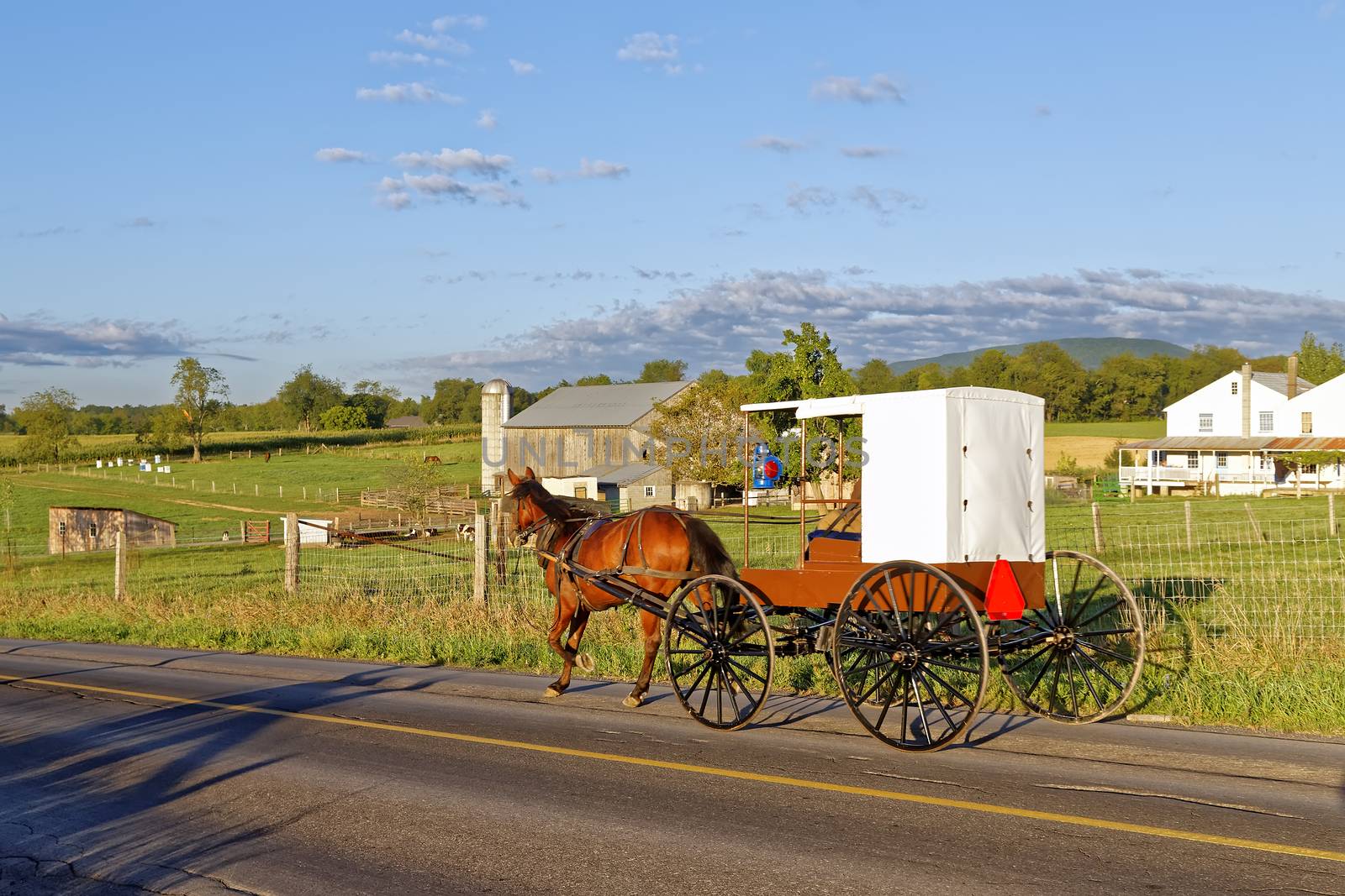 An Amish horse and carriage travels on a rural road in Mifflin County, Pennsylvania, USA.