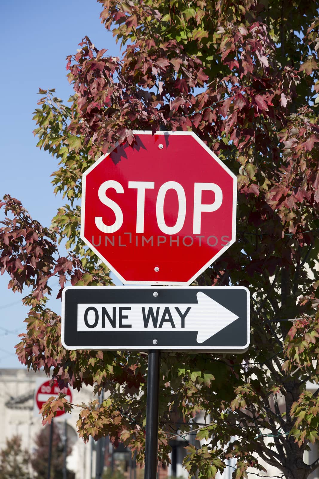 Stop sign and one way sign against a tree in the autumn