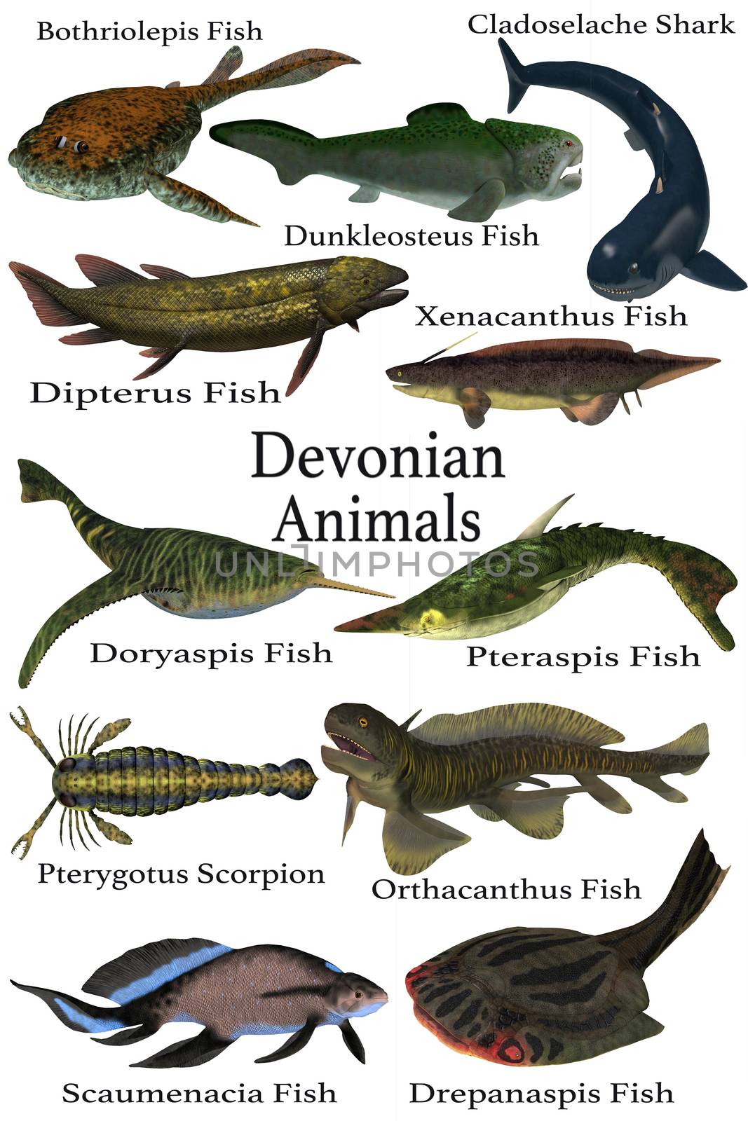 Devonian Animals by Catmando