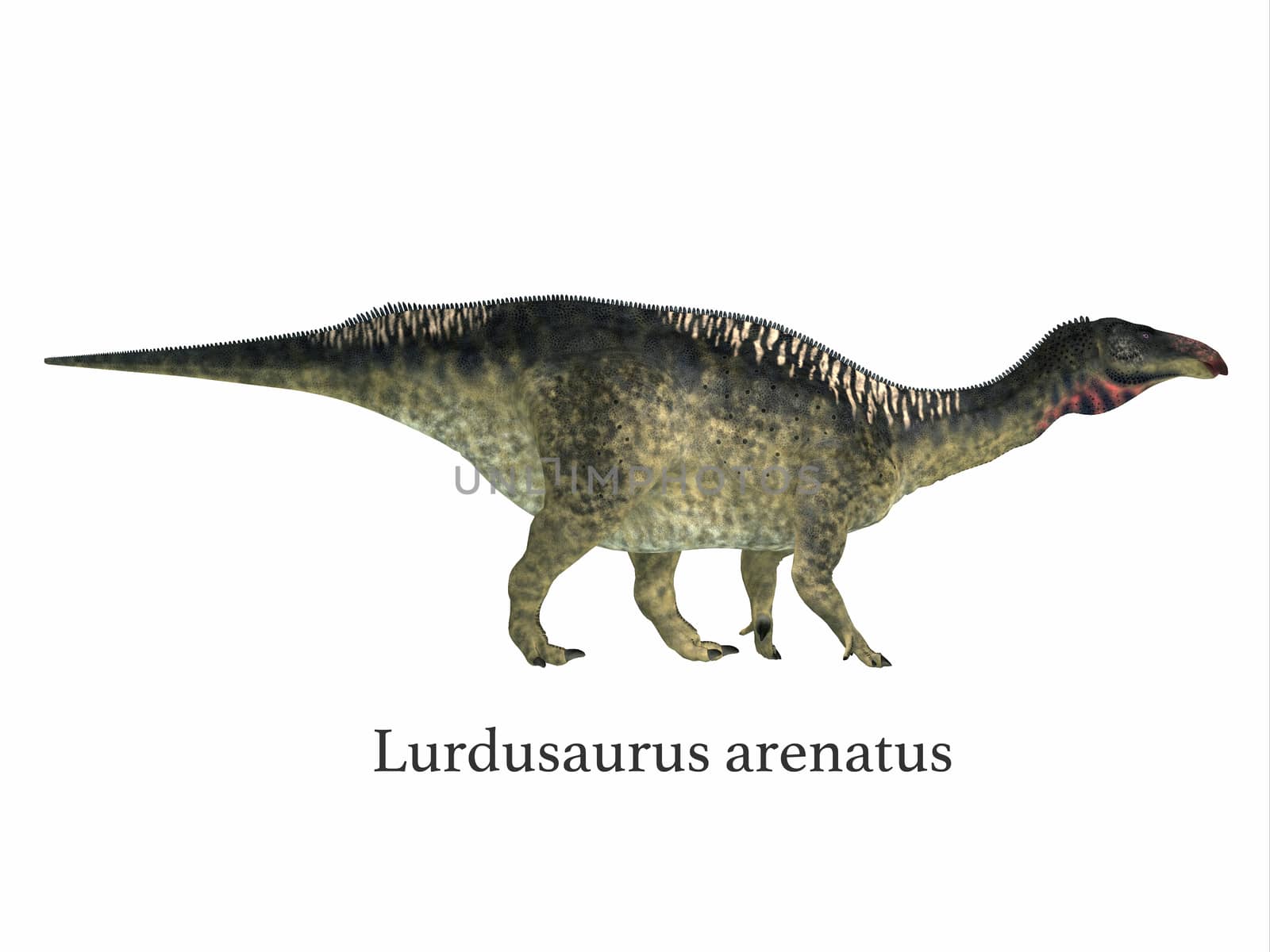 Lurdusaurus Dinosaur with Font by Catmando