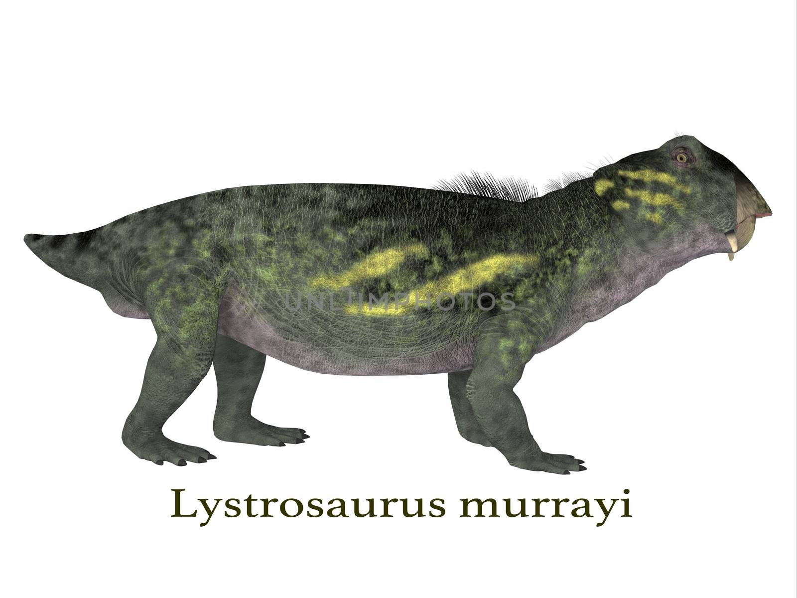 Lystrosaurus Dinosaur with Font by Catmando