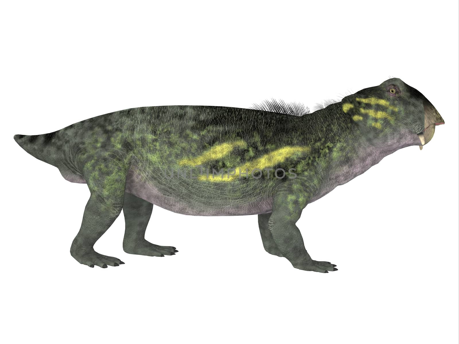 Lytrosaurus Side Profile by Catmando