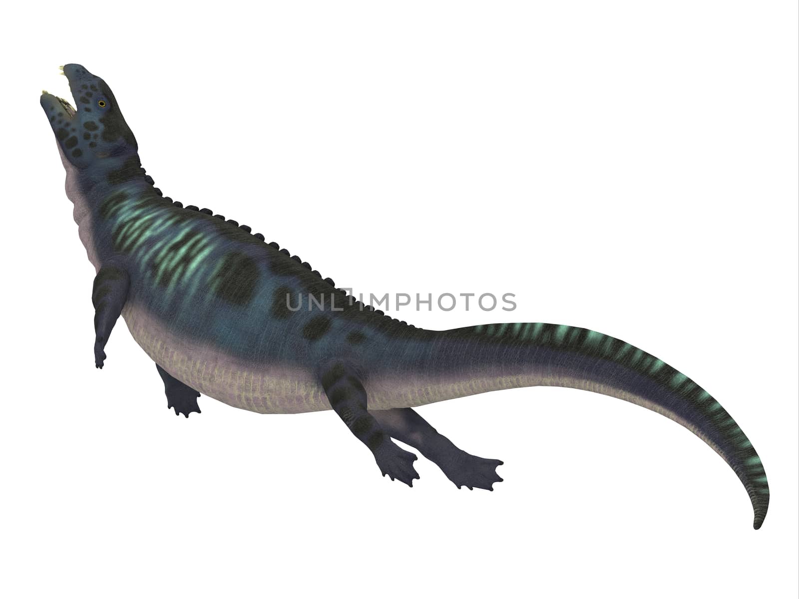 Placodus Dinosaur Side Profile by Catmando