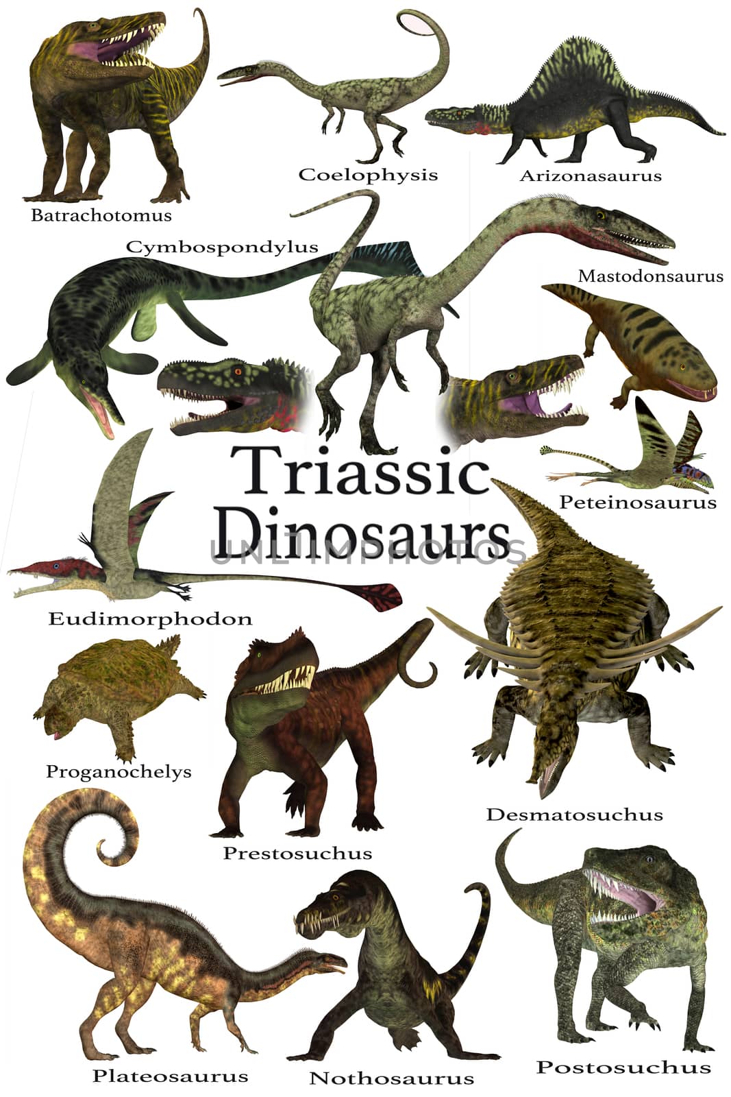 A collection of various dinosaur and marine animals that lived during the Triassic Period of Earth's history.
