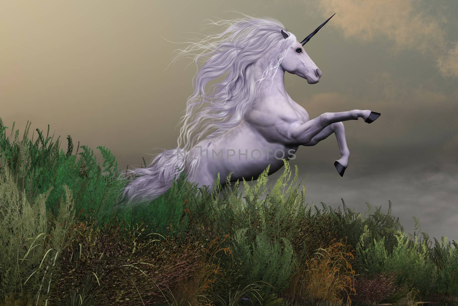 White Unicorn on Mountain by Catmando