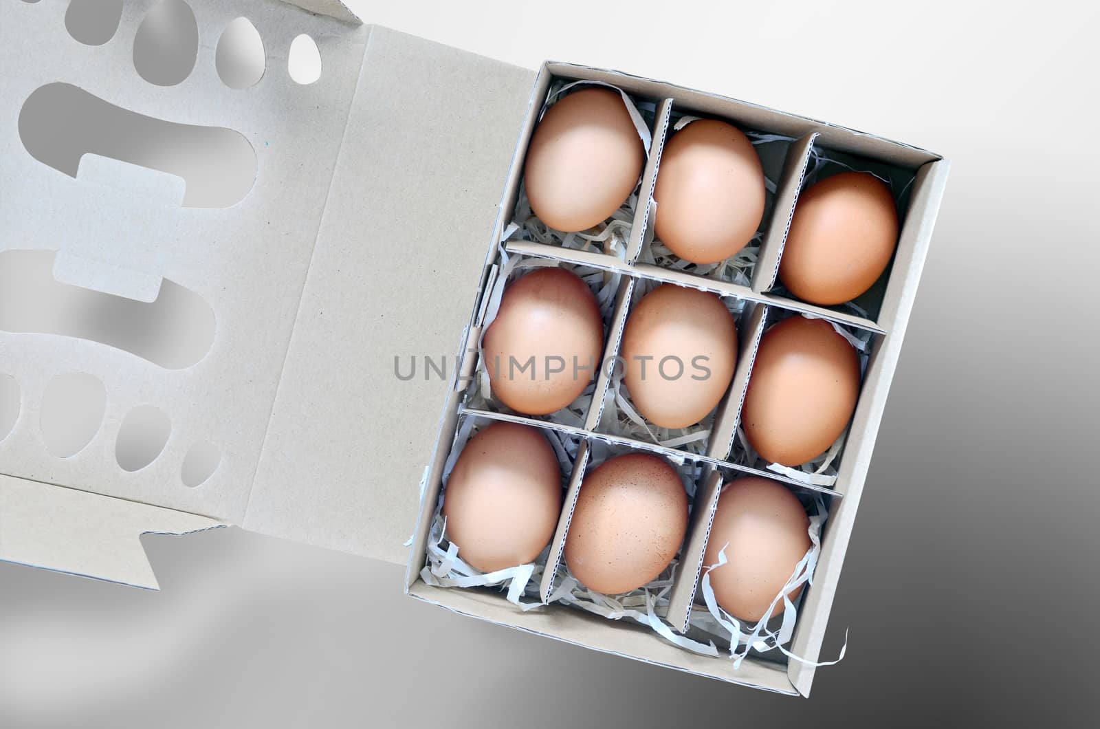 Eggs box by Vectorex