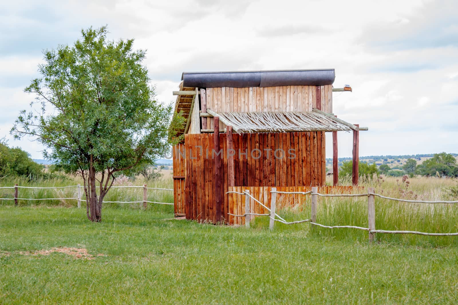 Shed in the woods