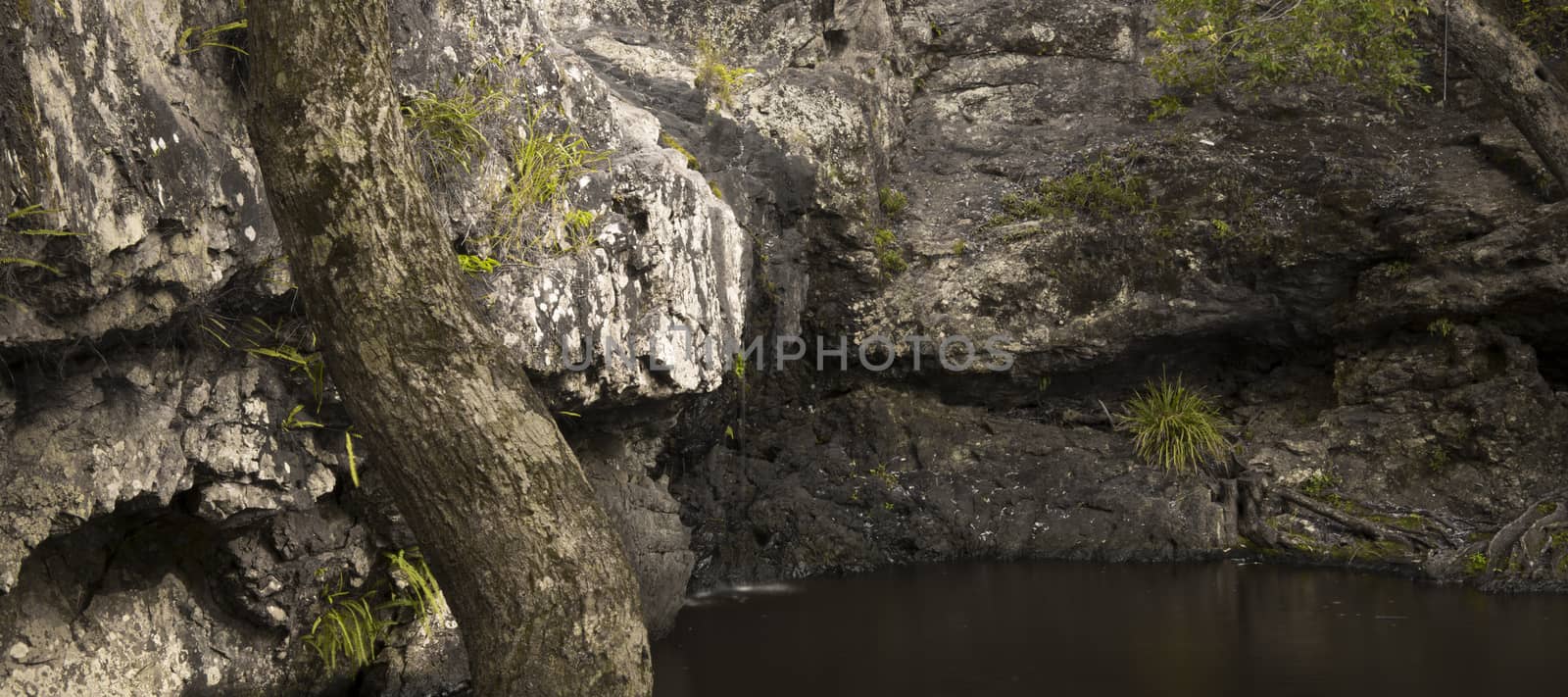 Beautiful Kondalilla Waterfall by artistrobd