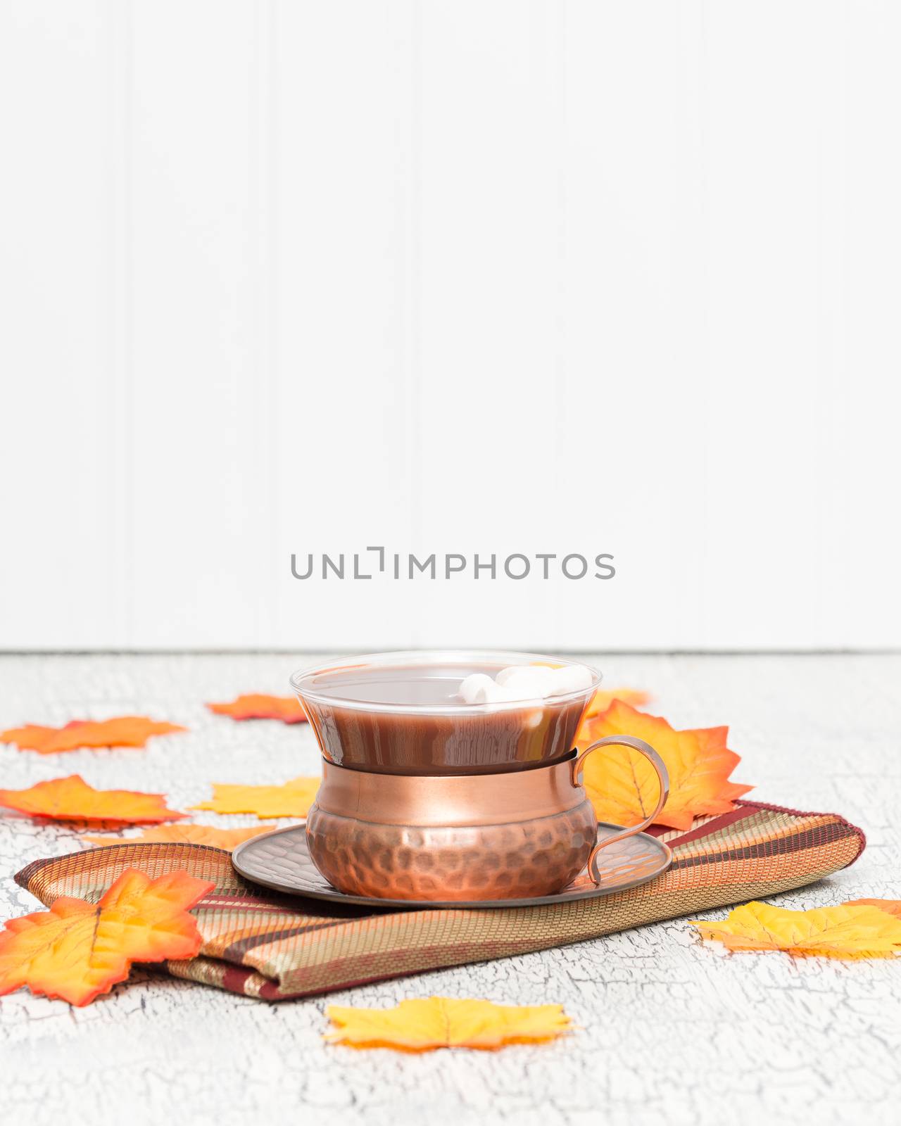 Cup of creamy dark hot chocolate with colorful autumn leaves.