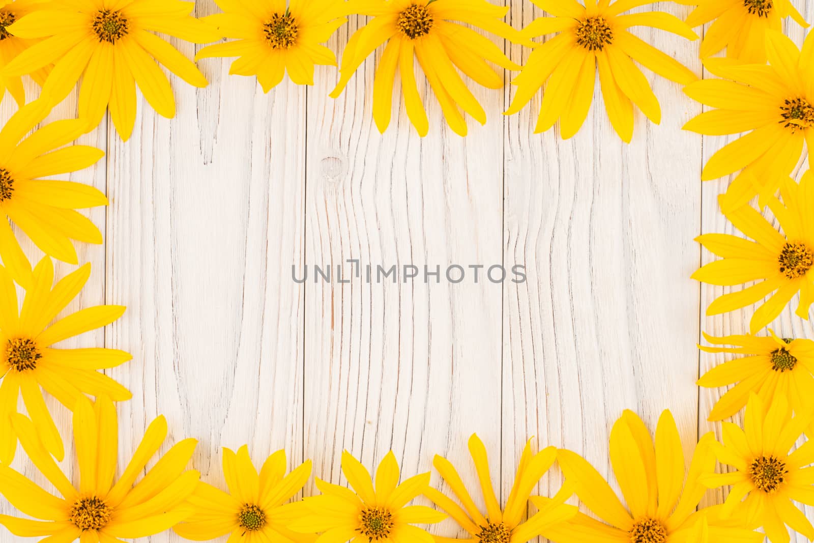 Yellow wild flower on white old wooden table. Top view.