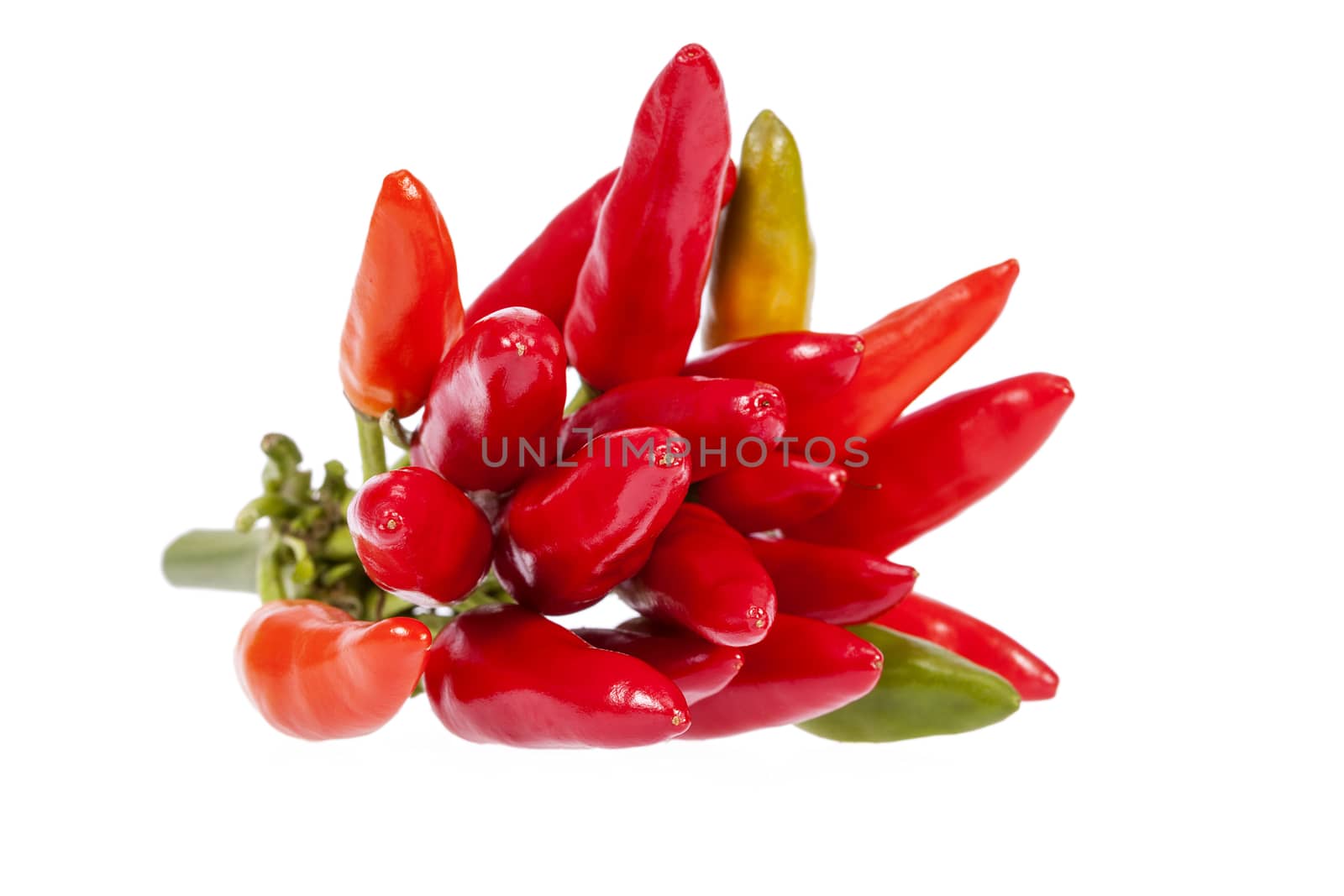 Composition of colorful decoration peppers isolated on white background, close up