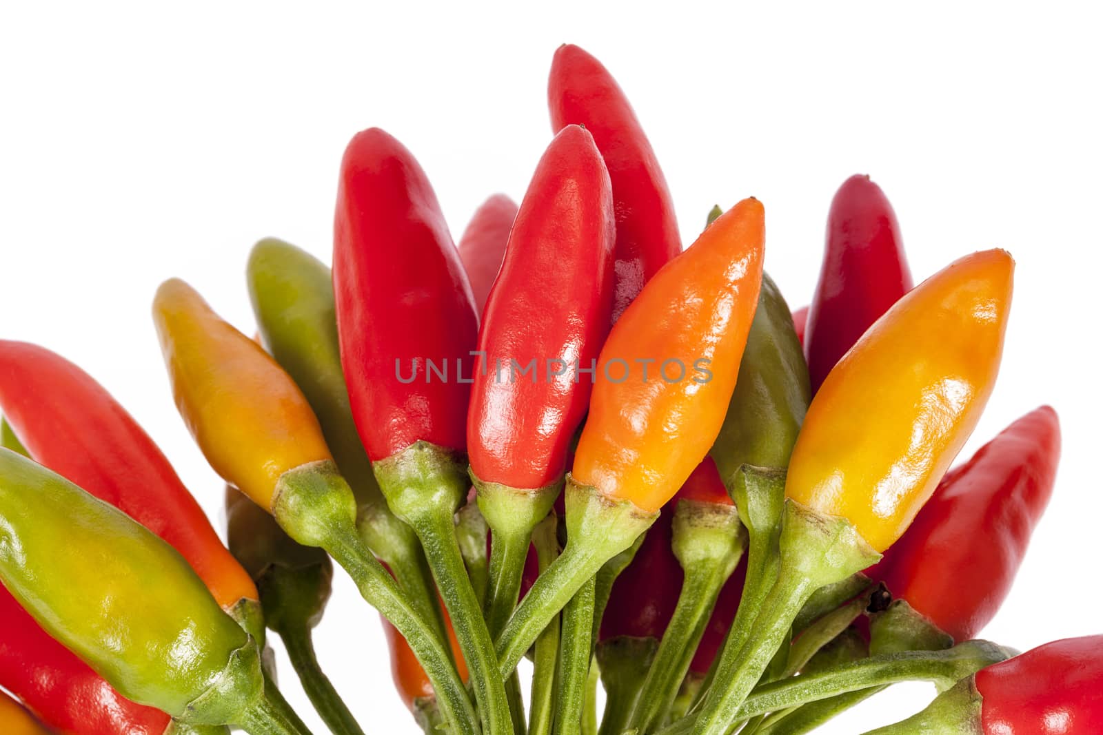 Composition of colorful decoration peppers isolated on white  background by mychadre77