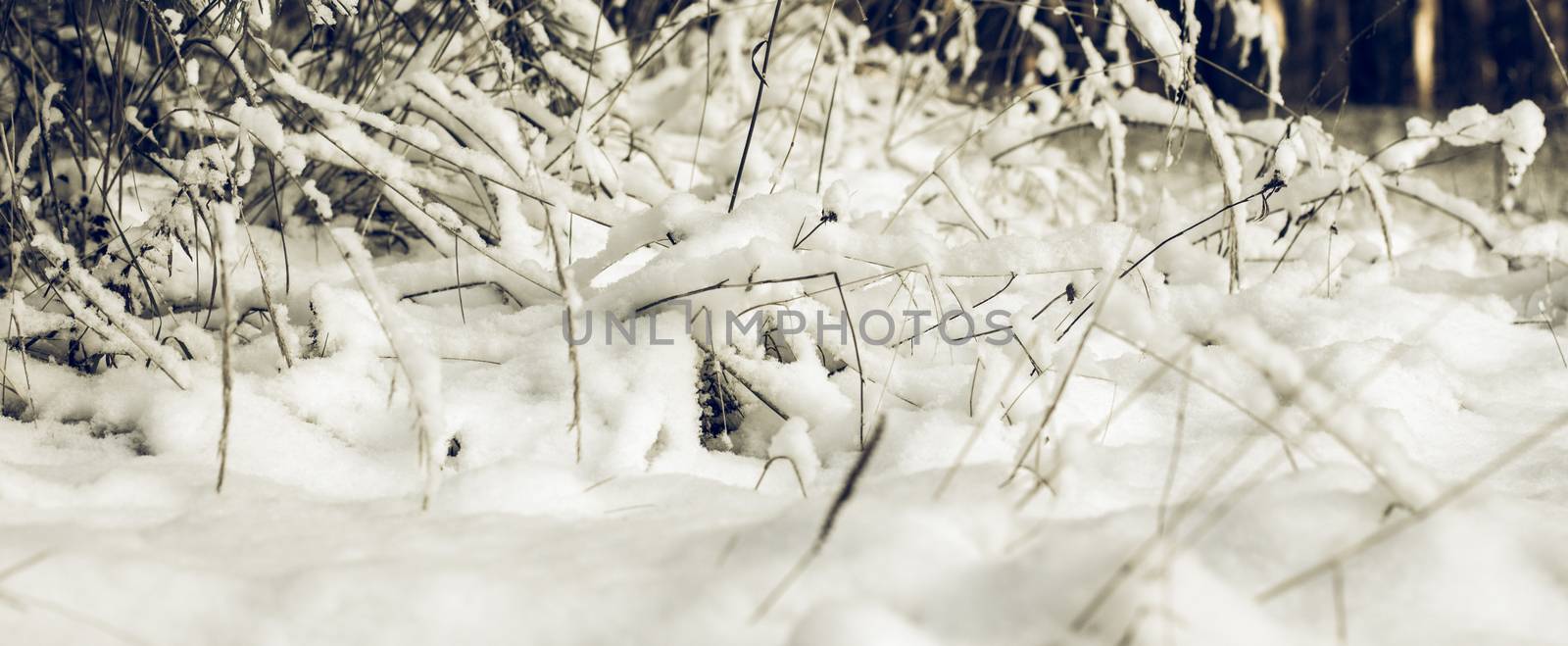 Abstract Winter background, Winter Outdoor Scene, Happy New Year and Merry Christmas Background for a Greeting or Message about Promotions and Sales, for Social Media, Posters, Email, Print, Ads