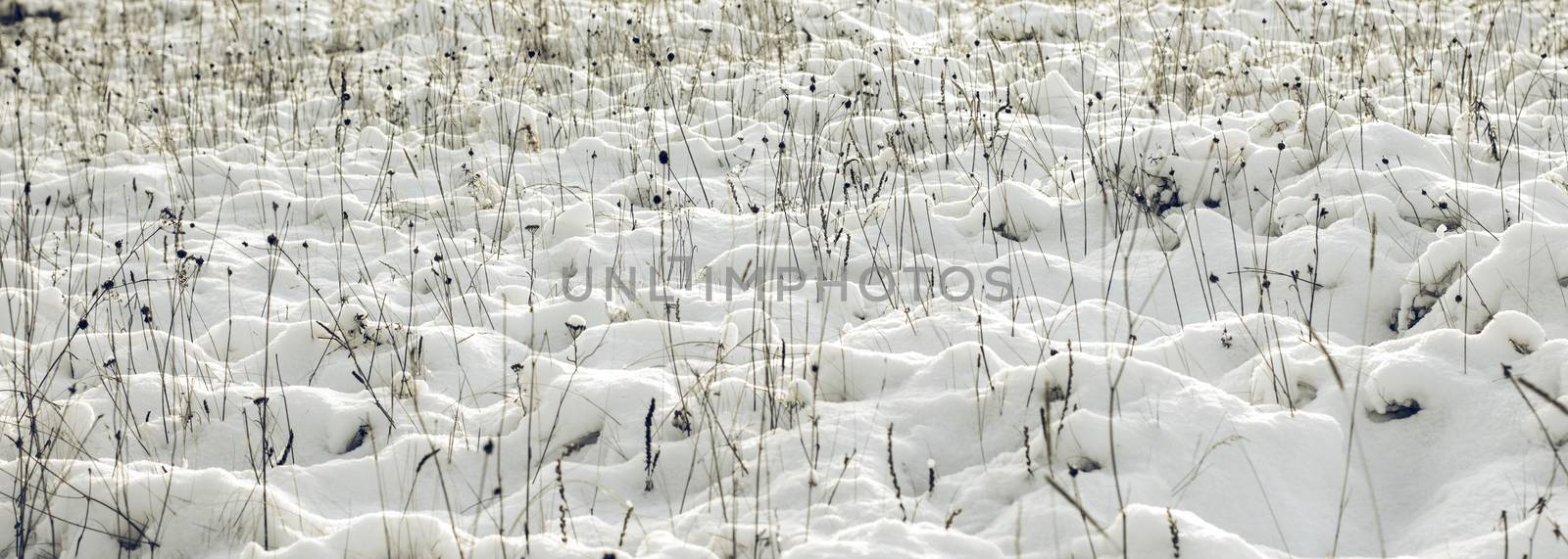 Abstract Winter background, Winter Outdoor Scene, Happy New Year and Merry Christmas Background for a Greeting or Message about Promotions and Sales, for Social Media, Posters, Email, Print, Ads