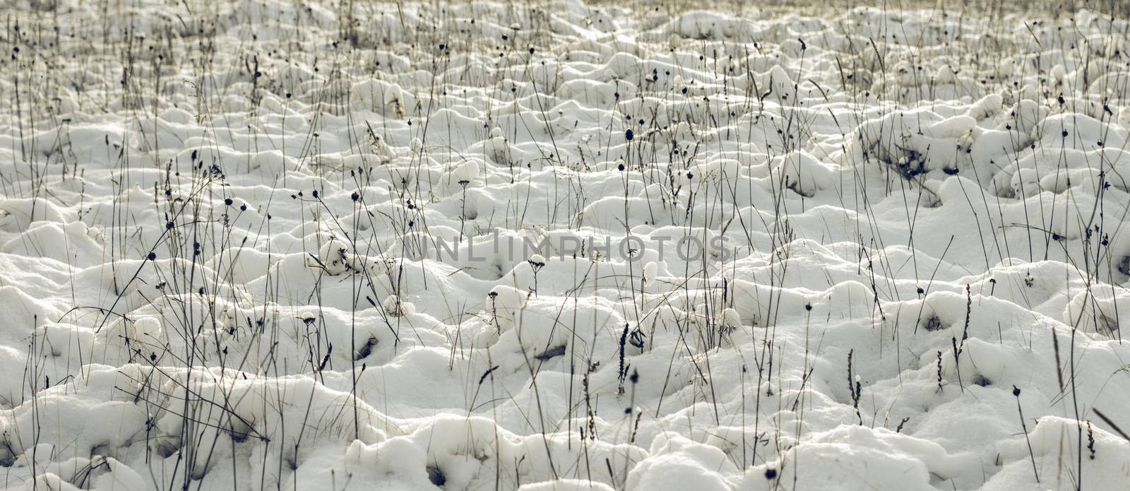 Abstract Winter background, Winter Outdoor Scene, Happy New Year and Merry Christmas Background for a Greeting or Message about Promotions and Sales, for Social Media, Posters, Email, Print, Ads