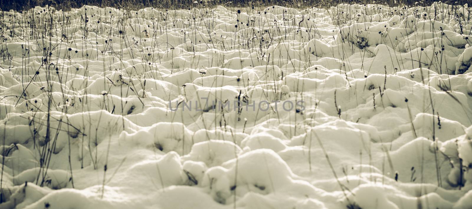 Abstract Winter background, Winter Outdoor Scene, Happy New Year and Merry Christmas Background for a Greeting or Message about Promotions and Sales, for Social Media, Posters, Email, Print, Ads
