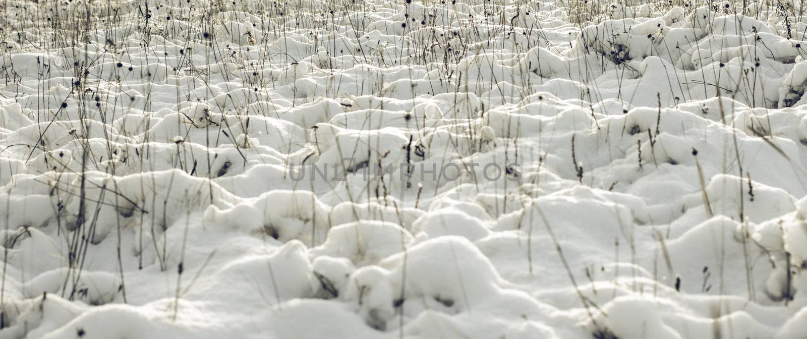Abstract Winter background, Winter Outdoor Scene, Happy New Year and Merry Christmas Background for a Greeting or Message about Promotions and Sales, for Social Media, Posters, Email, Print, Ads