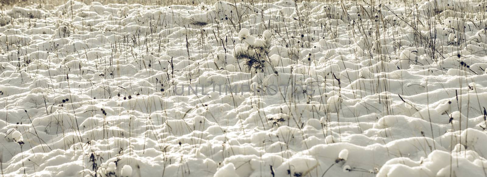 Abstract Winter background, Winter Outdoor Scene, Happy New Year and Merry Christmas Background for a Greeting or Message about Promotions and Sales, for Social Media, Posters, Email, Print, Ads