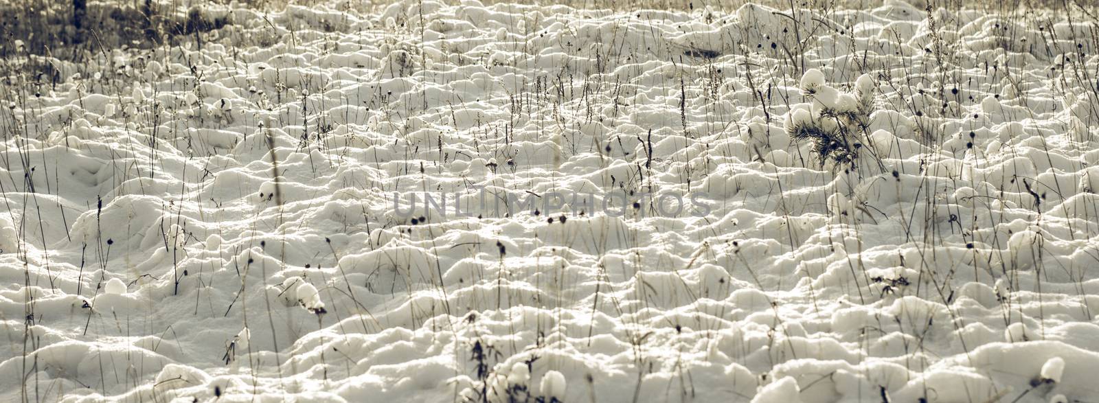 Abstract Winter background, Winter Outdoor Scene, Happy New Year and Merry Christmas Background for a Greeting or Message about Promotions and Sales, for Social Media, Posters, Email, Print, Ads