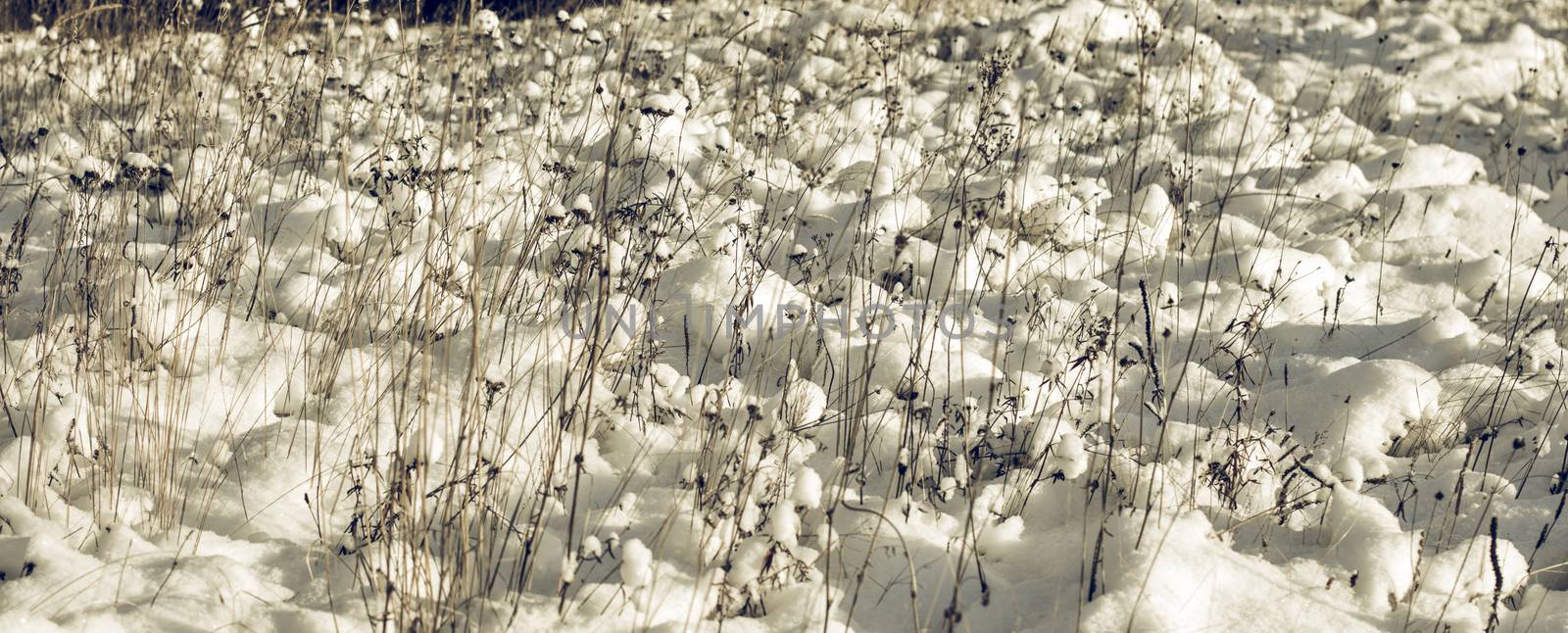 Abstract Winter background, Winter Outdoor Scene, Happy New Year and Merry Christmas Background for a Greeting or Message about Promotions and Sales, for Social Media, Posters, Email, Print, Ads
