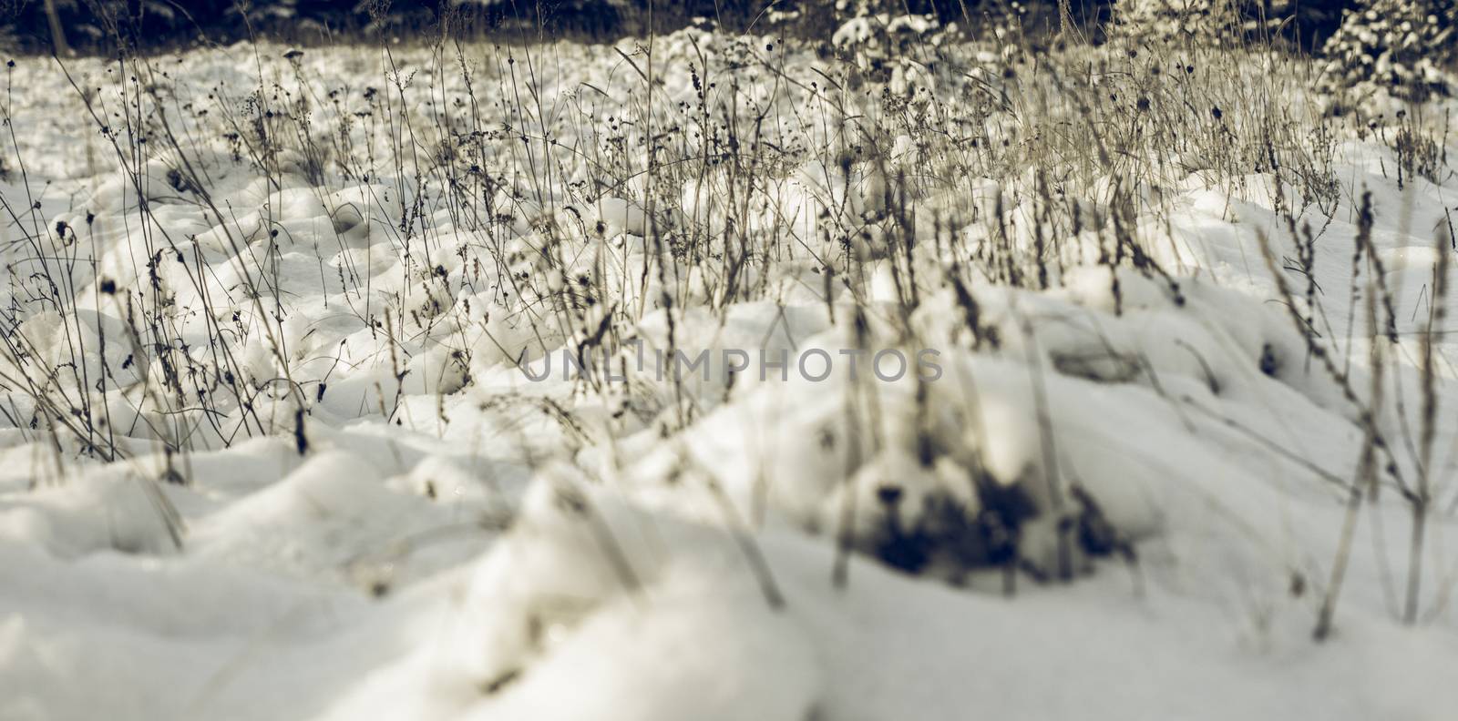 Abstract Winter background, Winter Outdoor Scene, Happy New Year and Merry Christmas Background for a Greeting or Message about Promotions and Sales, for Social Media, Posters, Email, Print, Ads