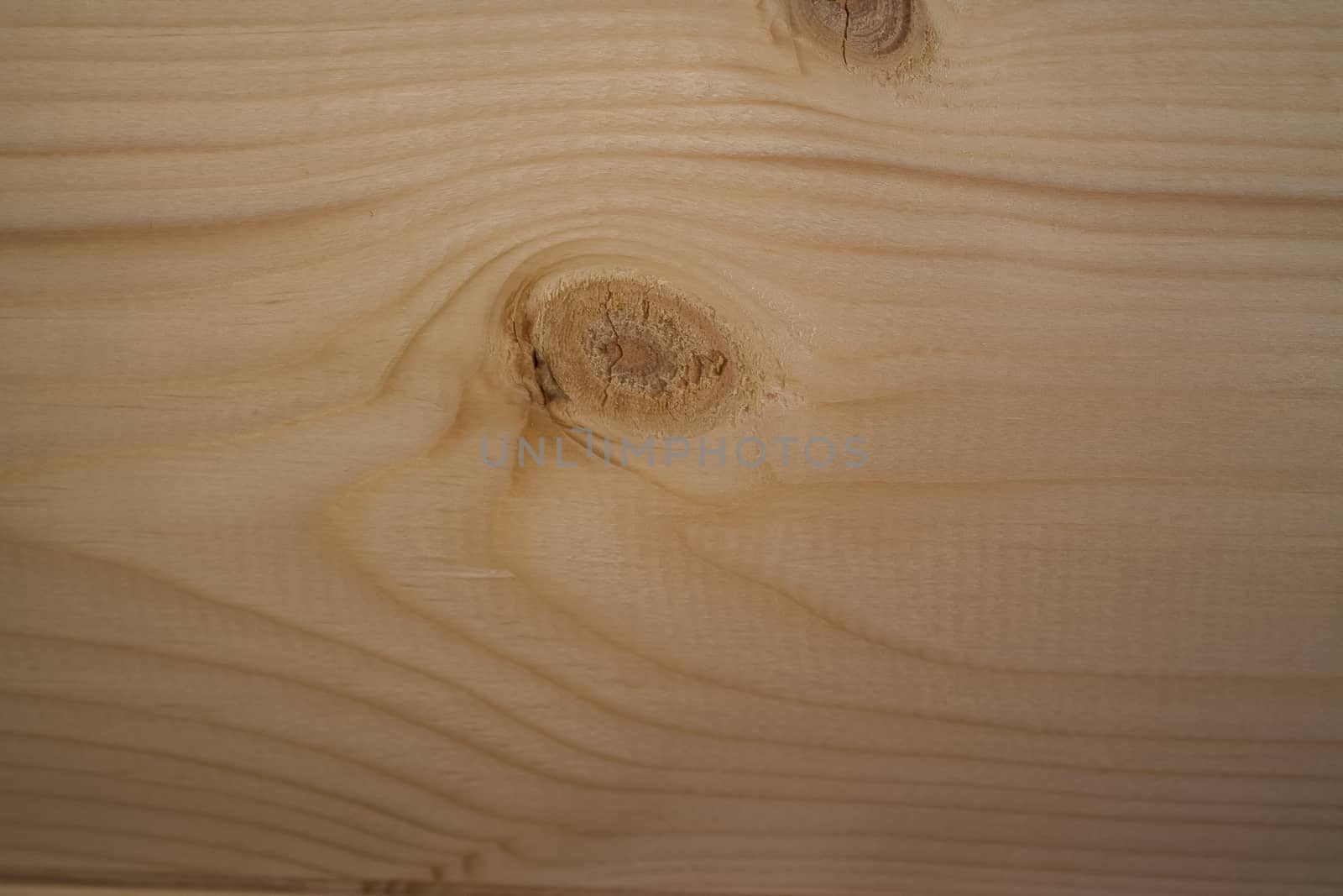 Texture of wood background closeup. Nature background