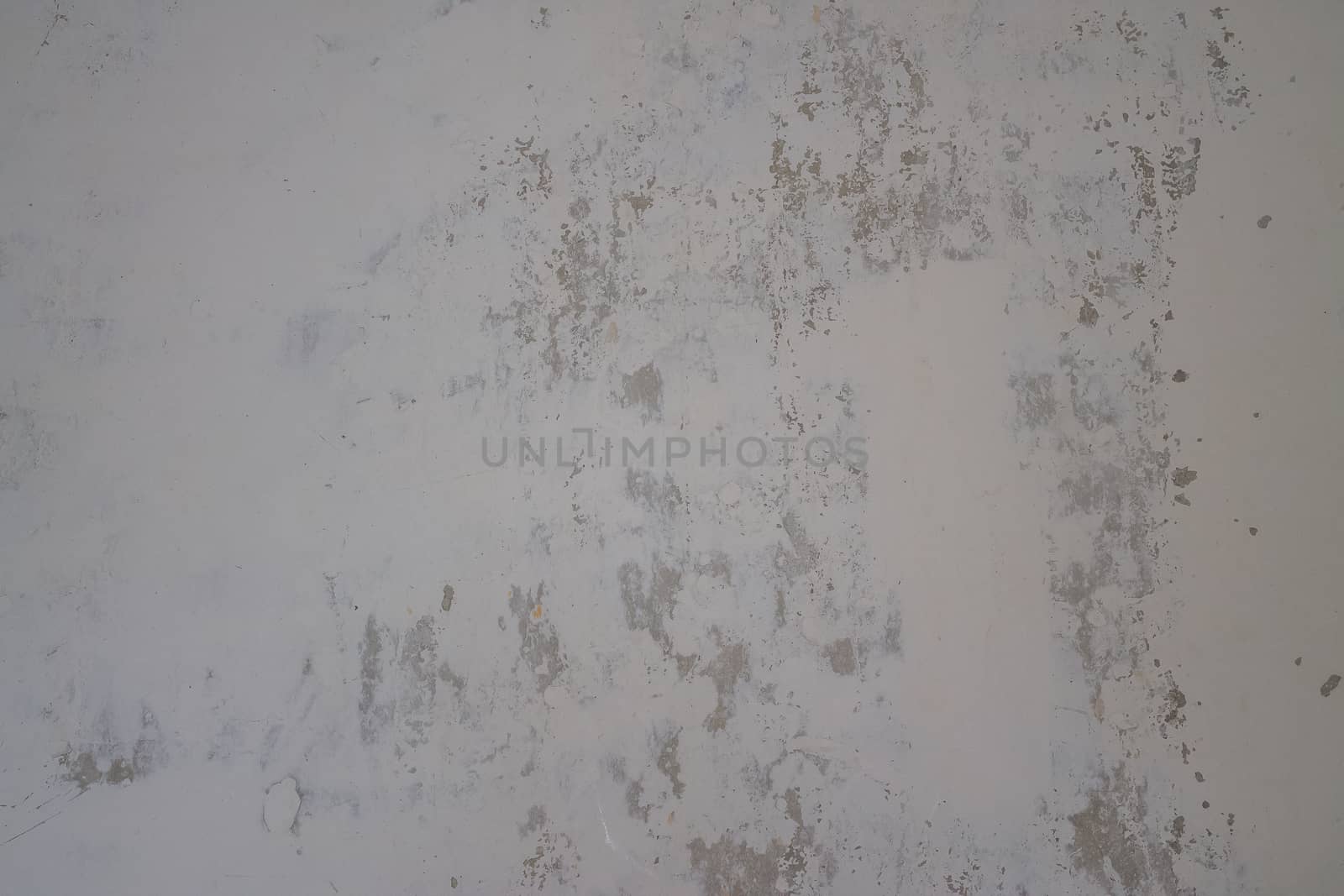 Old wall texture background. White nature background