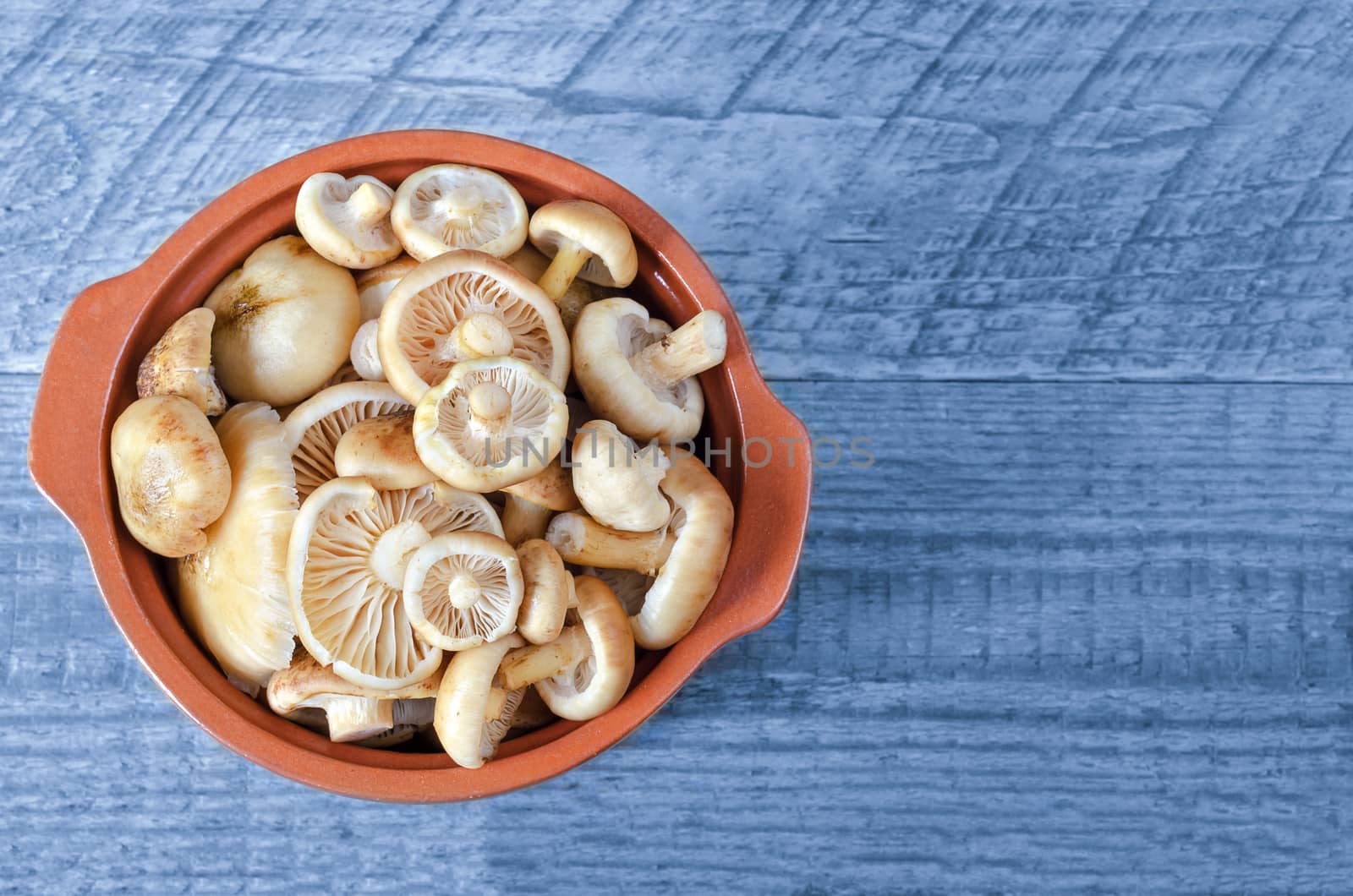 Raw washed mushrooms in a ceramic pot on a blue wooden background. The view from the top.
