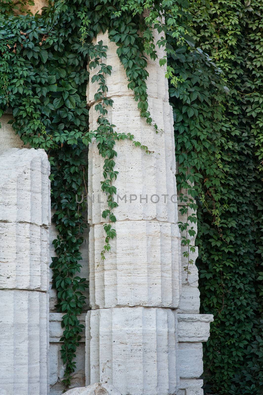 architectured old columns with curly green plants.
