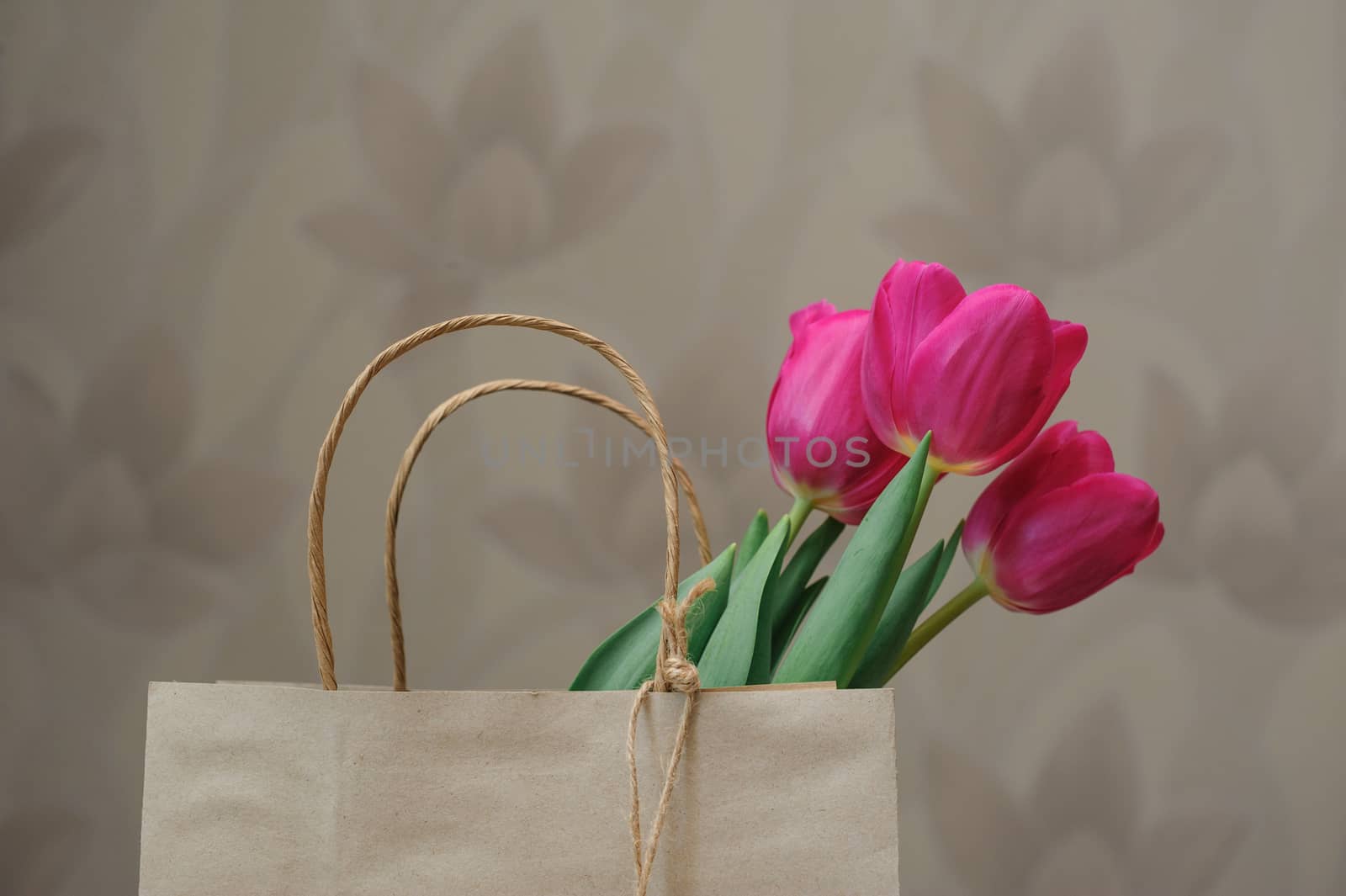 bouquet of red tulips in paper bag by timonko