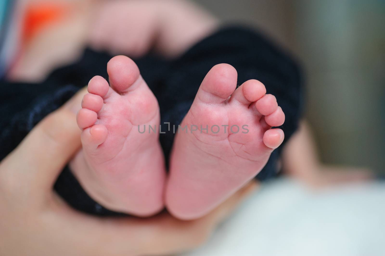 mother hands holding baby feet by timonko