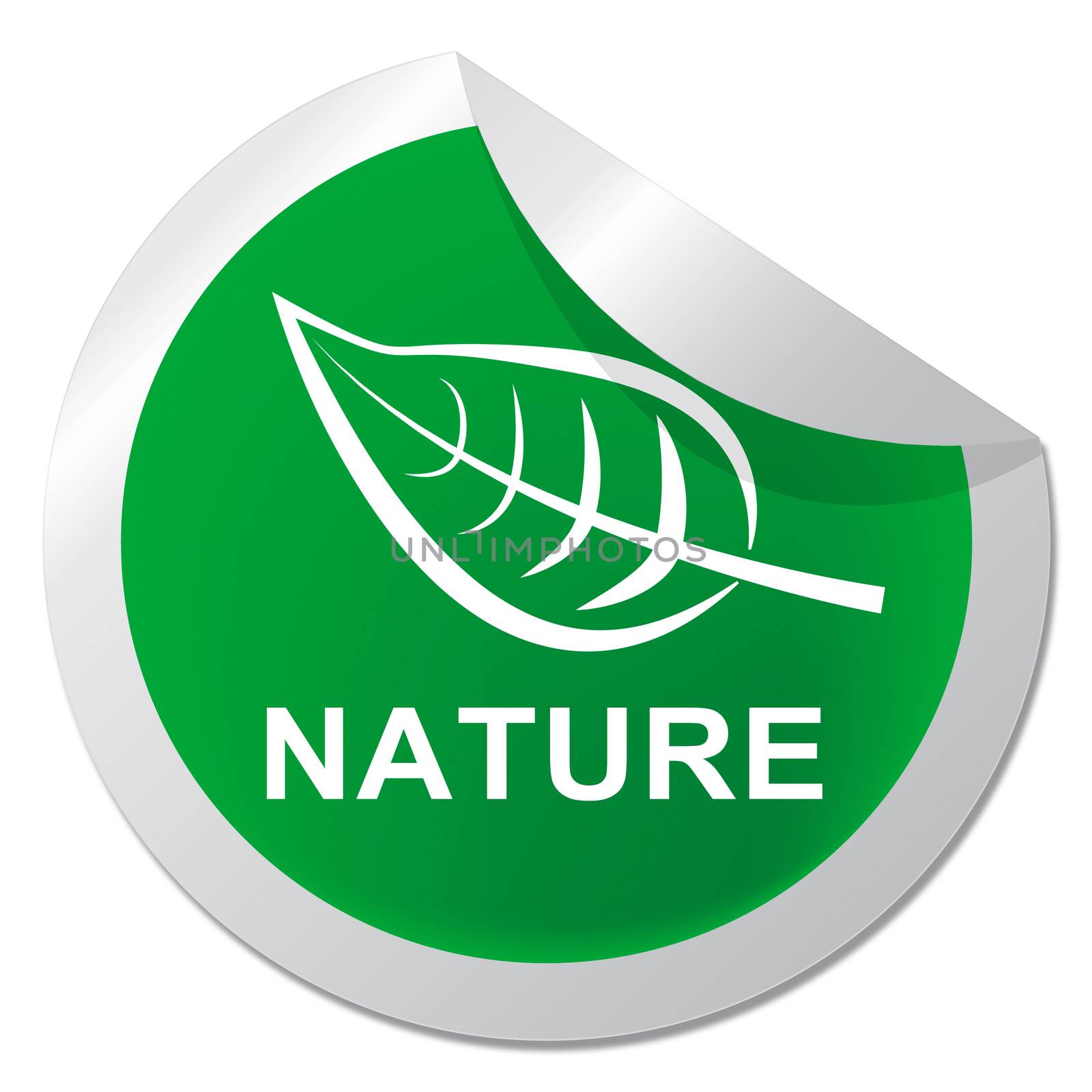 Nature Sticker Shows Scenic Natural Outdoors 3d Illustration