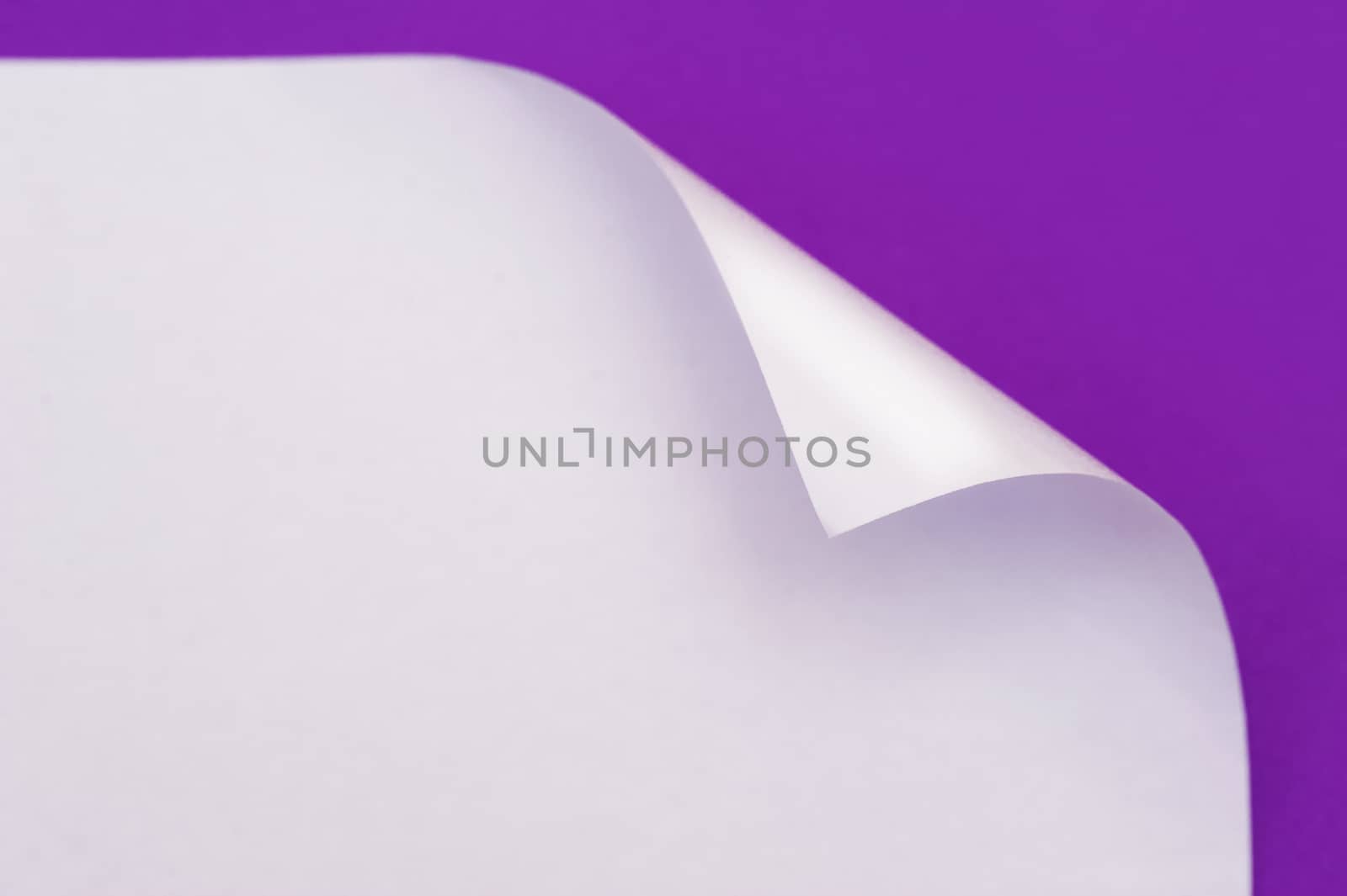 sheet of paper with the wrapped up corner on a purple background.