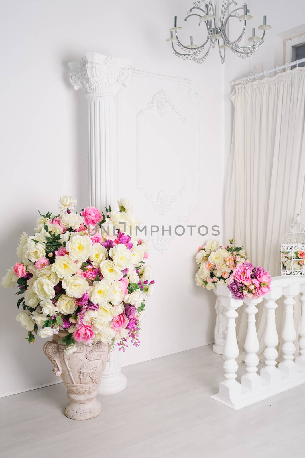 beautiful decoration of flowers in vases in white studio.