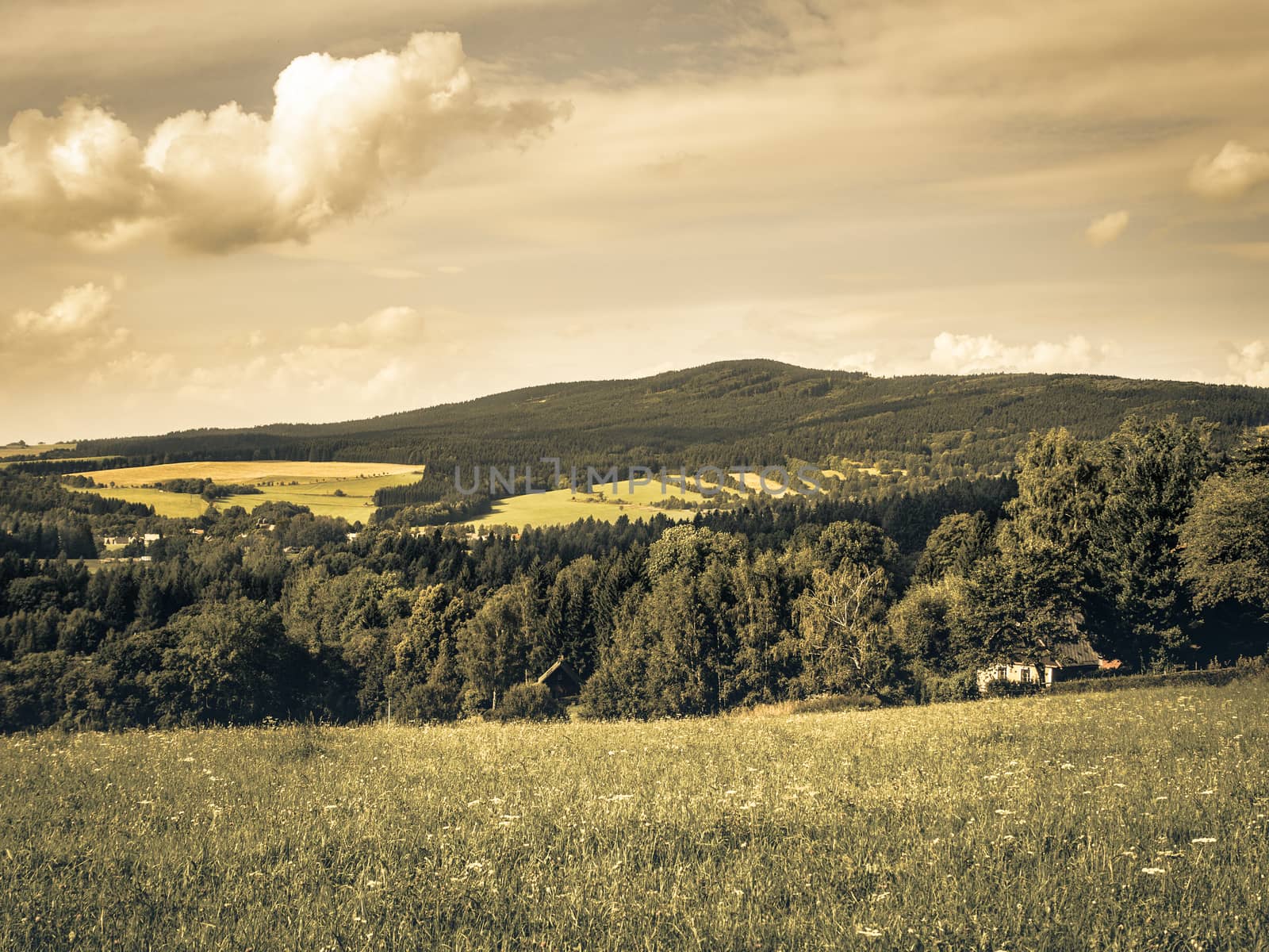 Middle European countryside, Czech republic, Jeseniky in summer, meadow under the Mala Destna mountain, nostalgic aged photo feeling